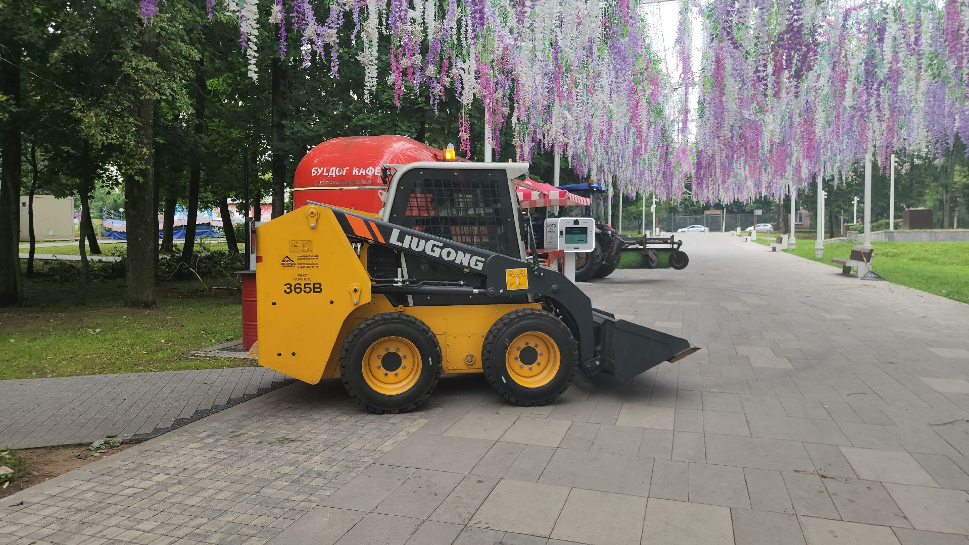 Истра, катаклизм, Парк,