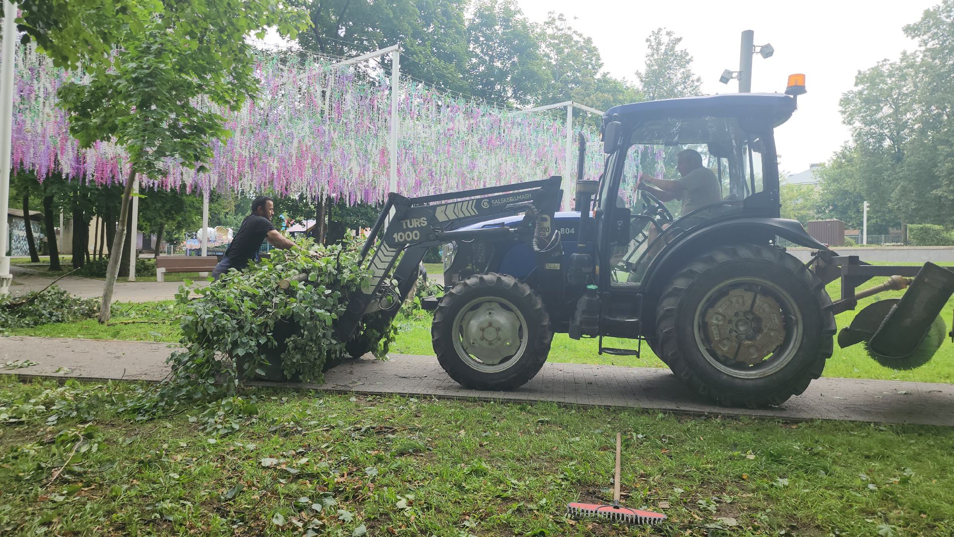 Истра, катаклизм, Парк,