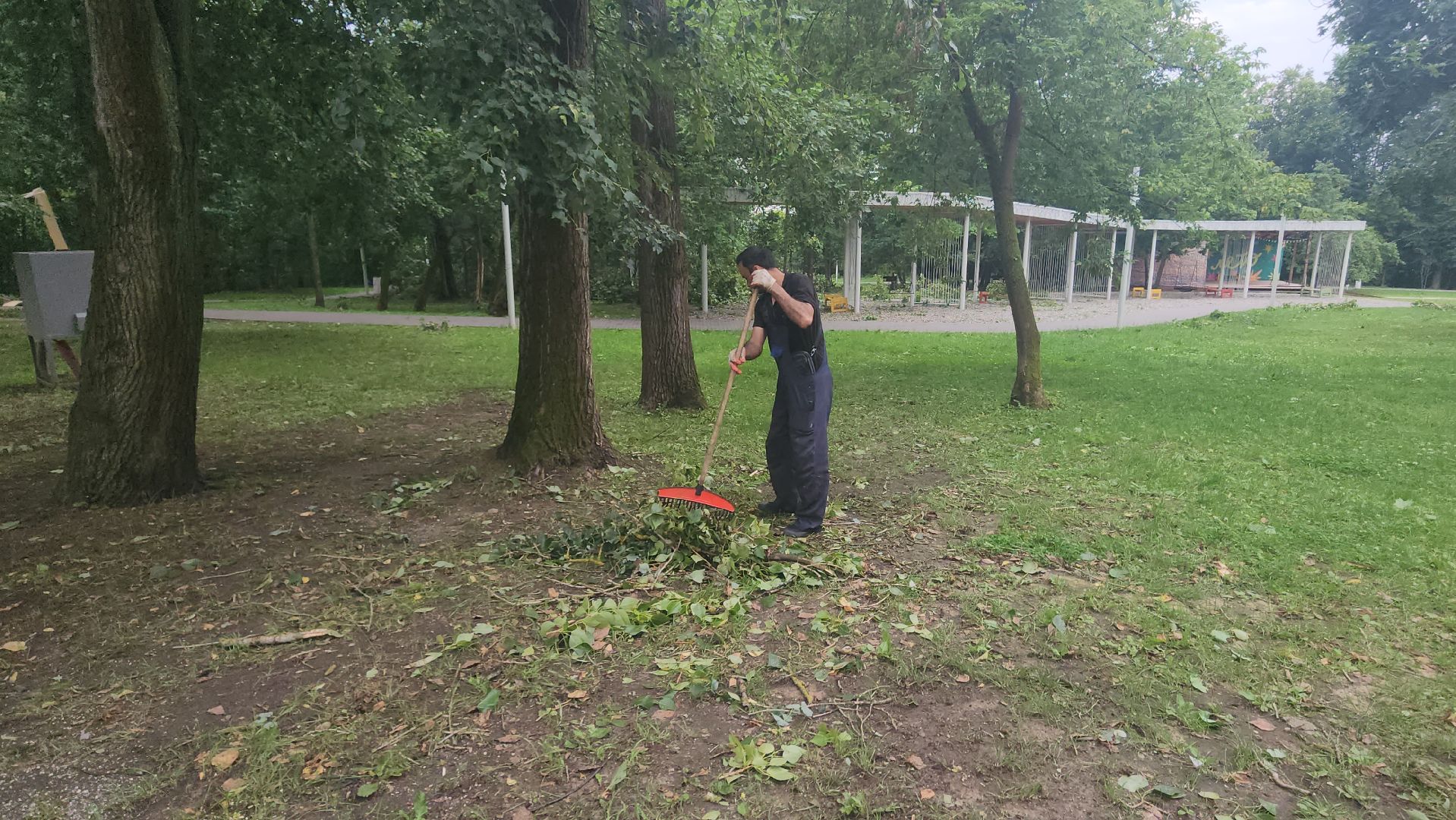 Истра, катаклизм, Парк,