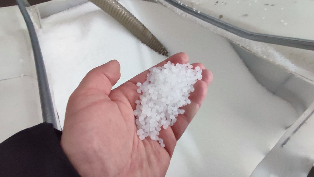 Кашира, общество