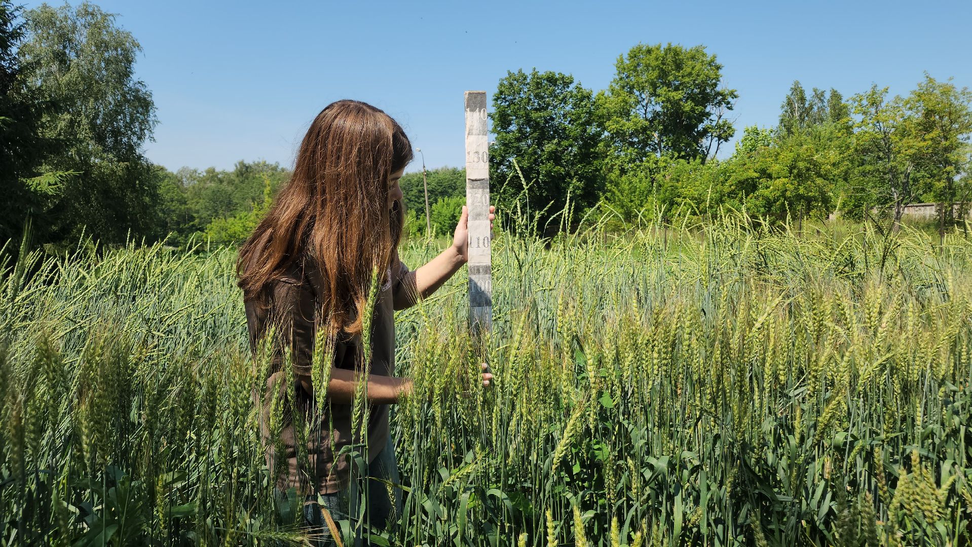 ступино, сельское хозяйство, образование,