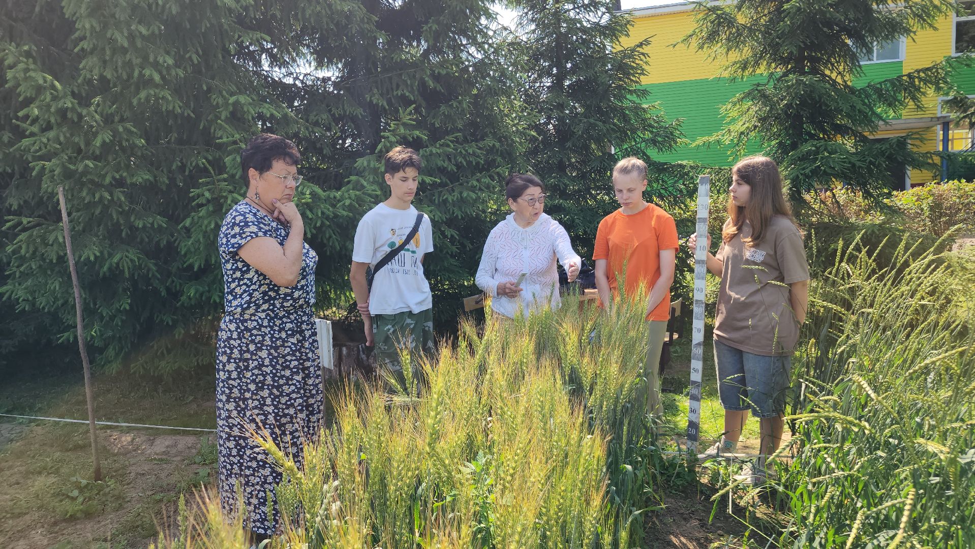 ступино, сельское хозяйство, образование,