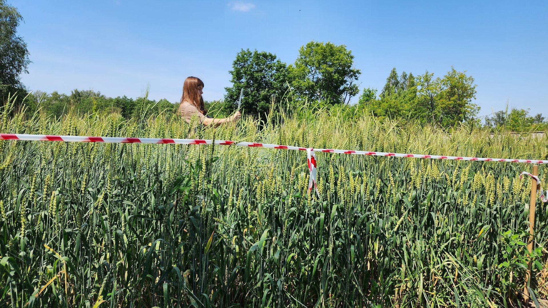 ступино, сельское хозяйство, образование,