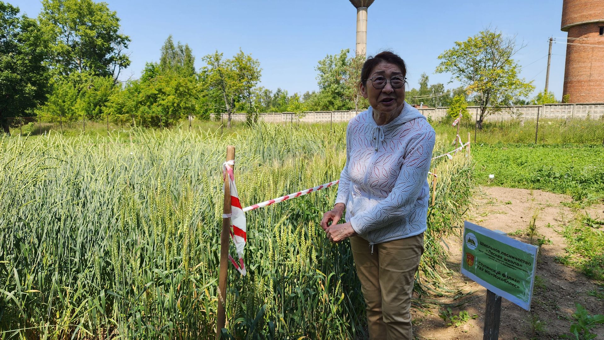 ступино, сельское хозяйство, образование,
