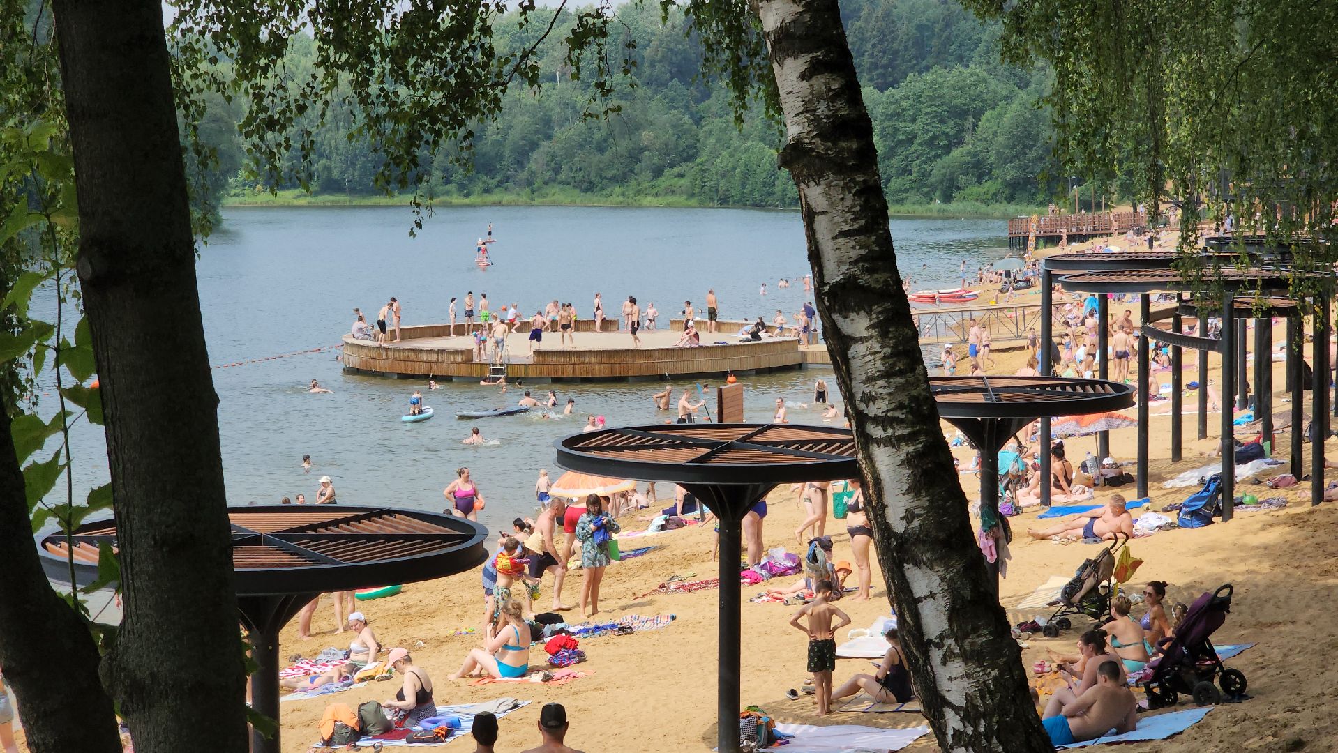 пляж, лето в подмосковье, синичка, красногорск,