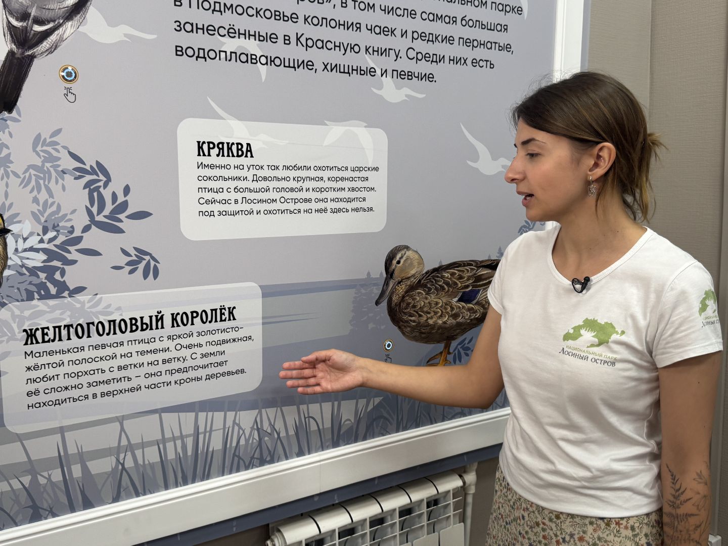 лосиный остров, балашиха, экоцентр царская охота,