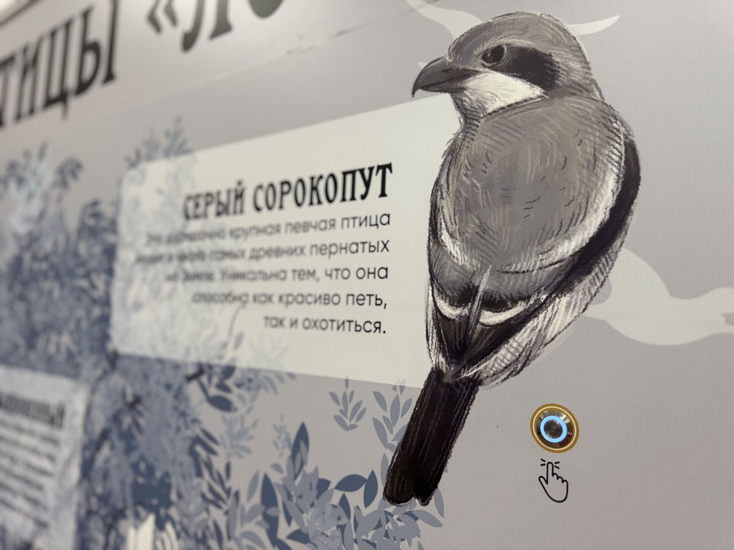 лосиный остров, балашиха, экоцентр царская охота,