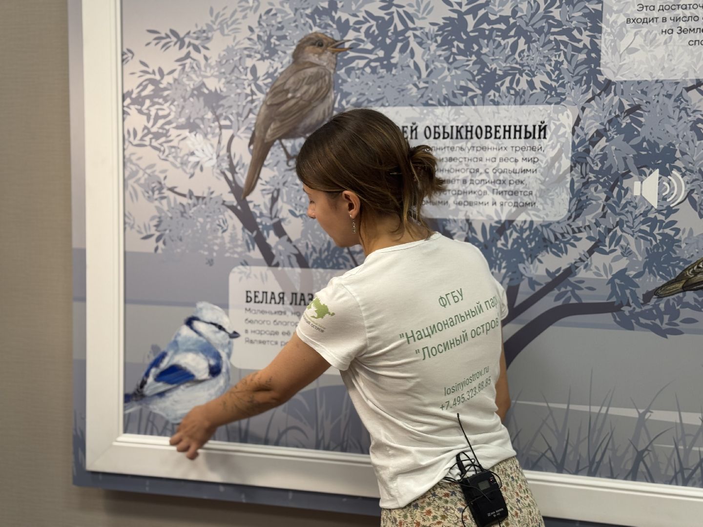 лосиный остров, балашиха, экоцентр царская охота,