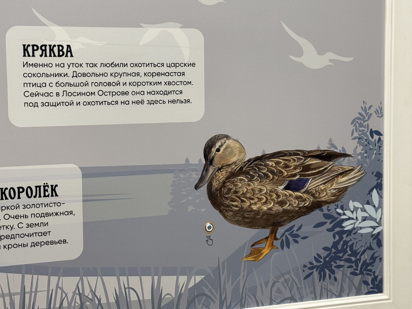 лосиный остров, балашиха, экоцентр царская охота,