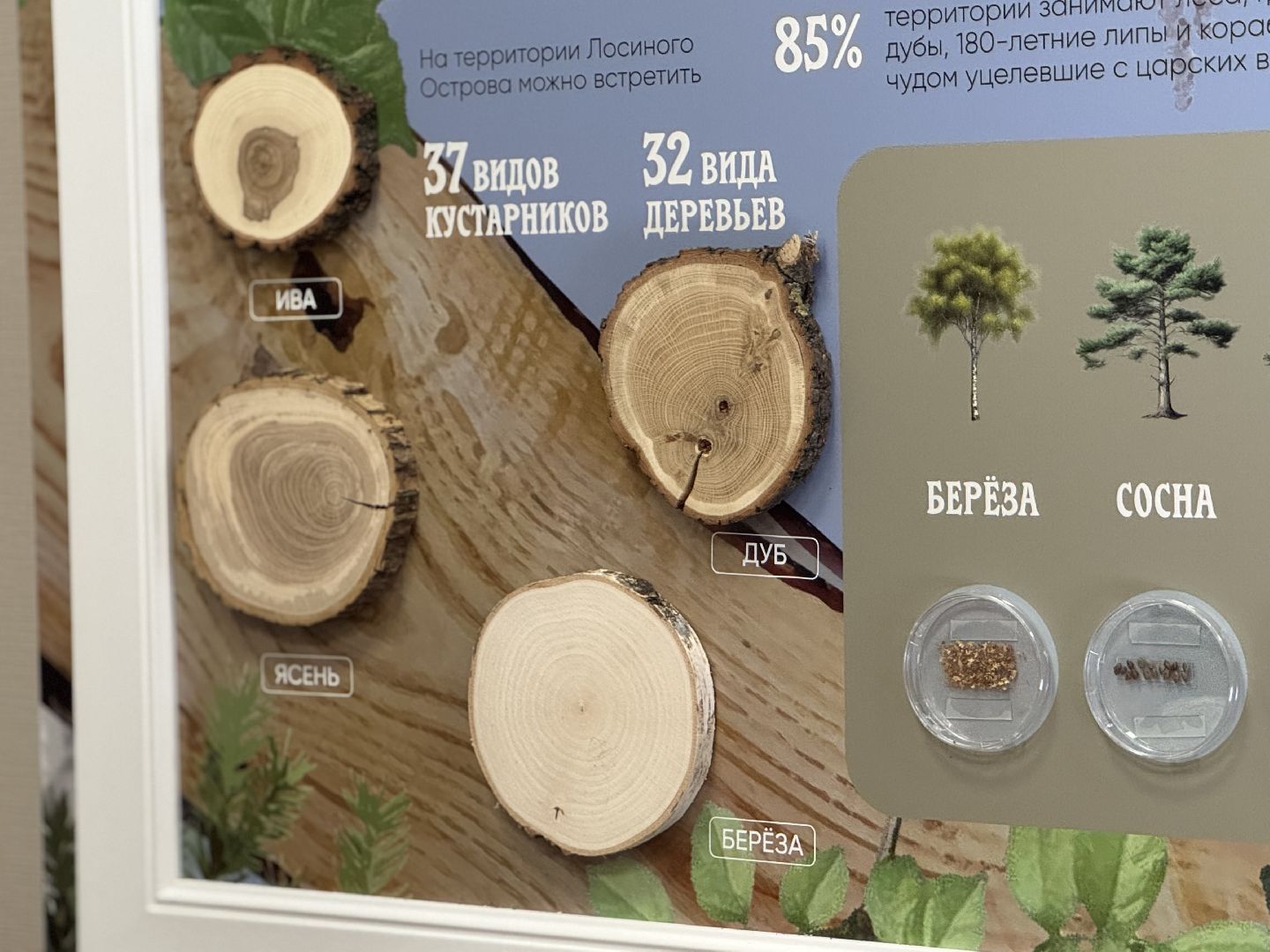 лосиный остров, балашиха, экоцентр царская охота,