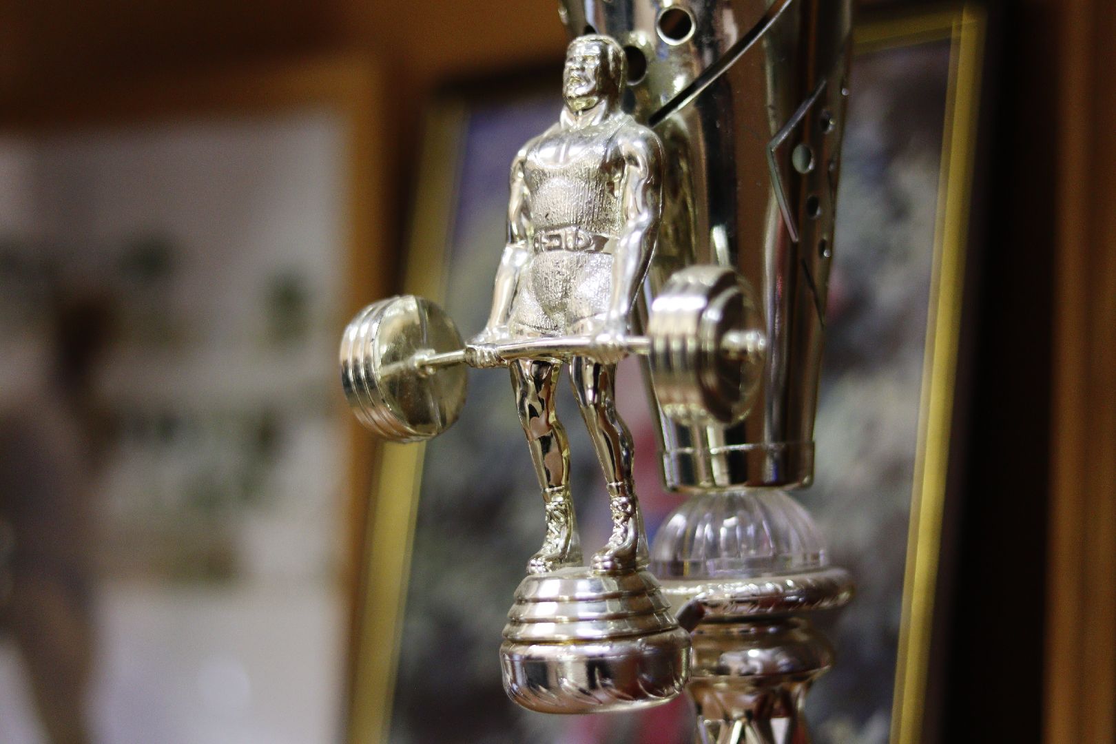 зарайск, спорт, ремонт, зож,