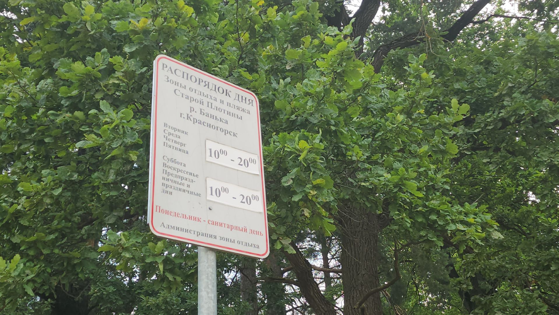 пляж, лето в подмосковье, спасатель,красногорск,