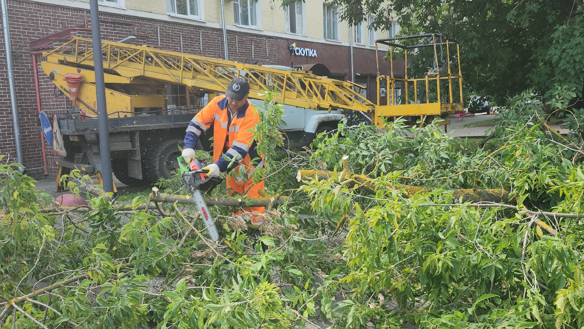 вертикалки, ивантеевка, опиловка, опилить деревья, опиловка деревьев,кронирование, коммунальная служба,