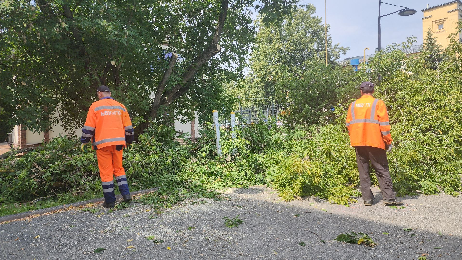 вертикалки, ивантеевка, опиловка, опилить деревья, опиловка деревьев,кронирование, коммунальная служба,