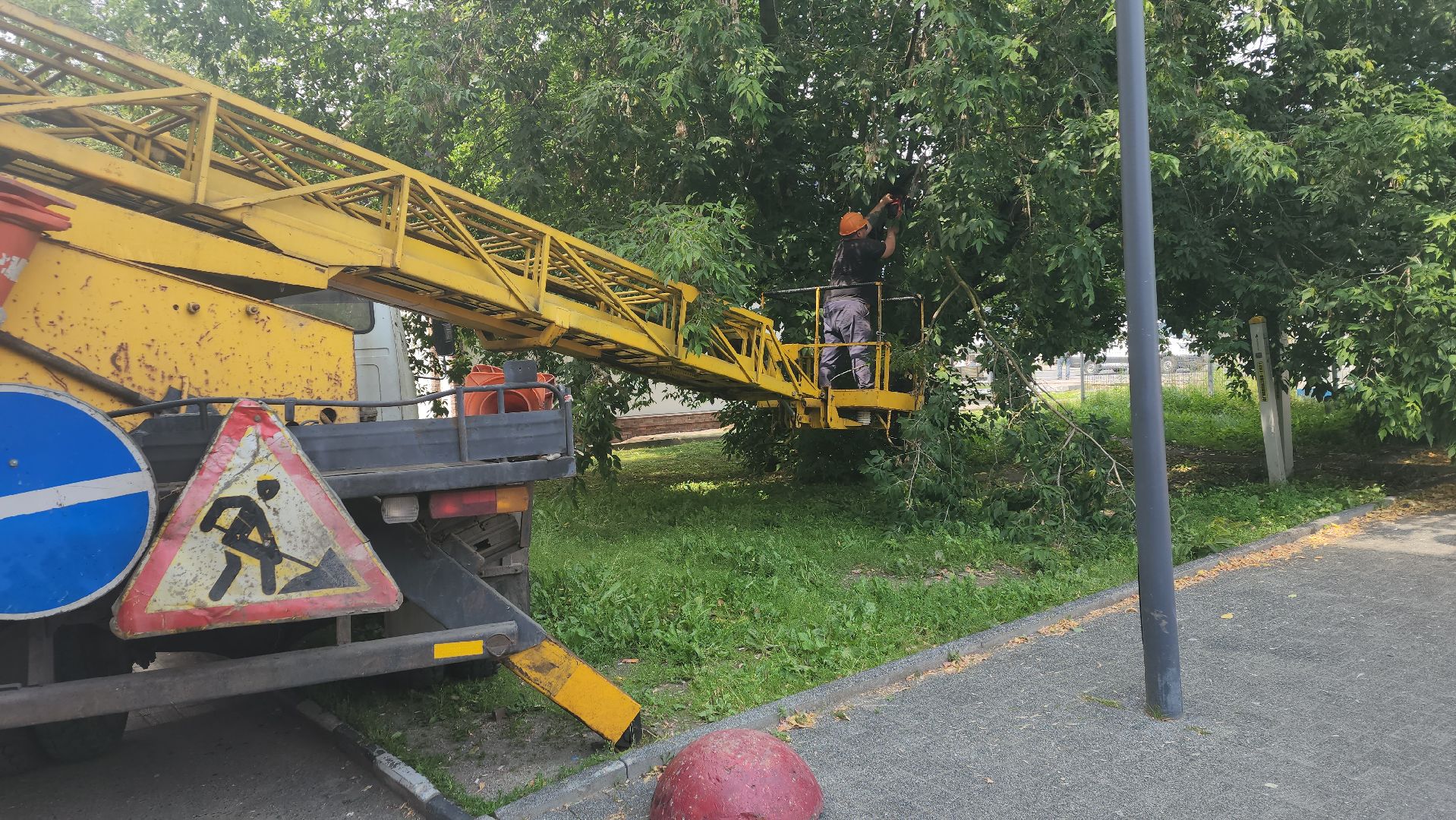 вертикалки, ивантеевка, опиловка, опилить деревья, опиловка деревьев,кронирование, коммунальная служба,