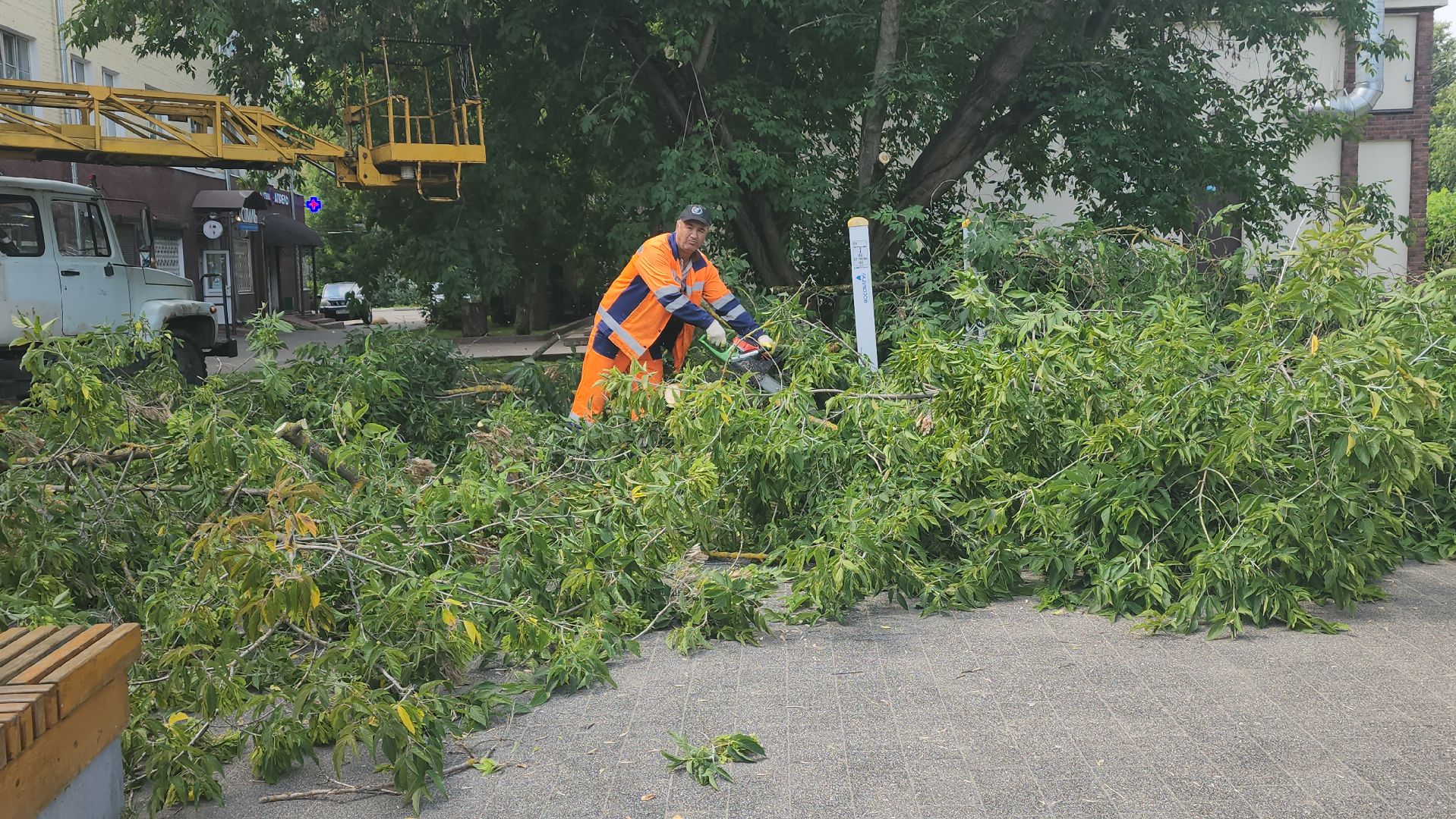 вертикалки, ивантеевка, опиловка, опилить деревья, опиловка деревьев,кронирование, коммунальная служба,
