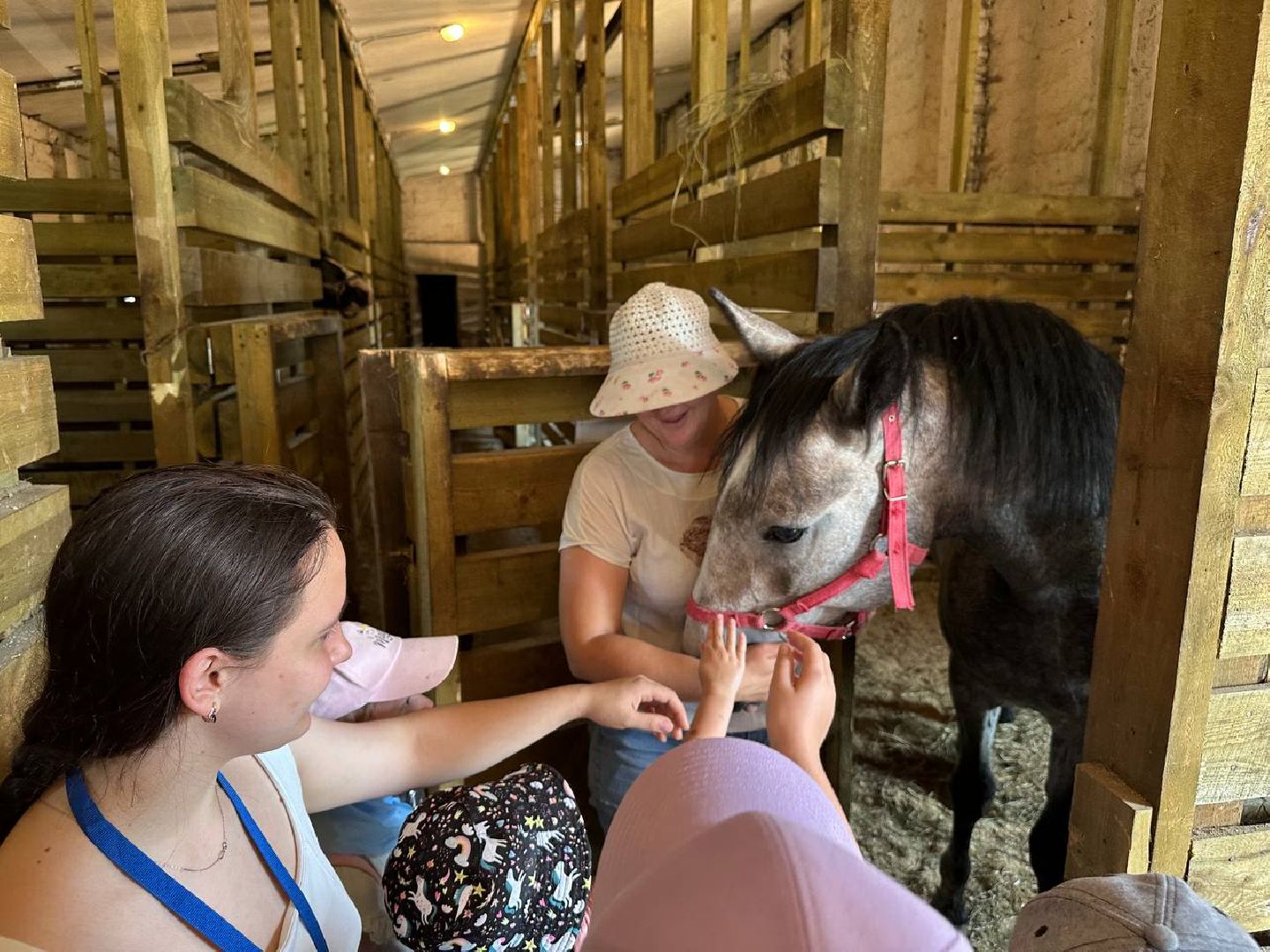 летний лагерь, домодедово, конюшня,