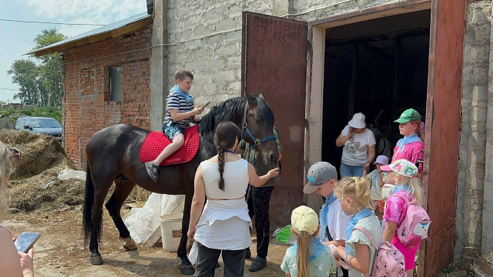 летний лагерь, домодедово, конюшня,