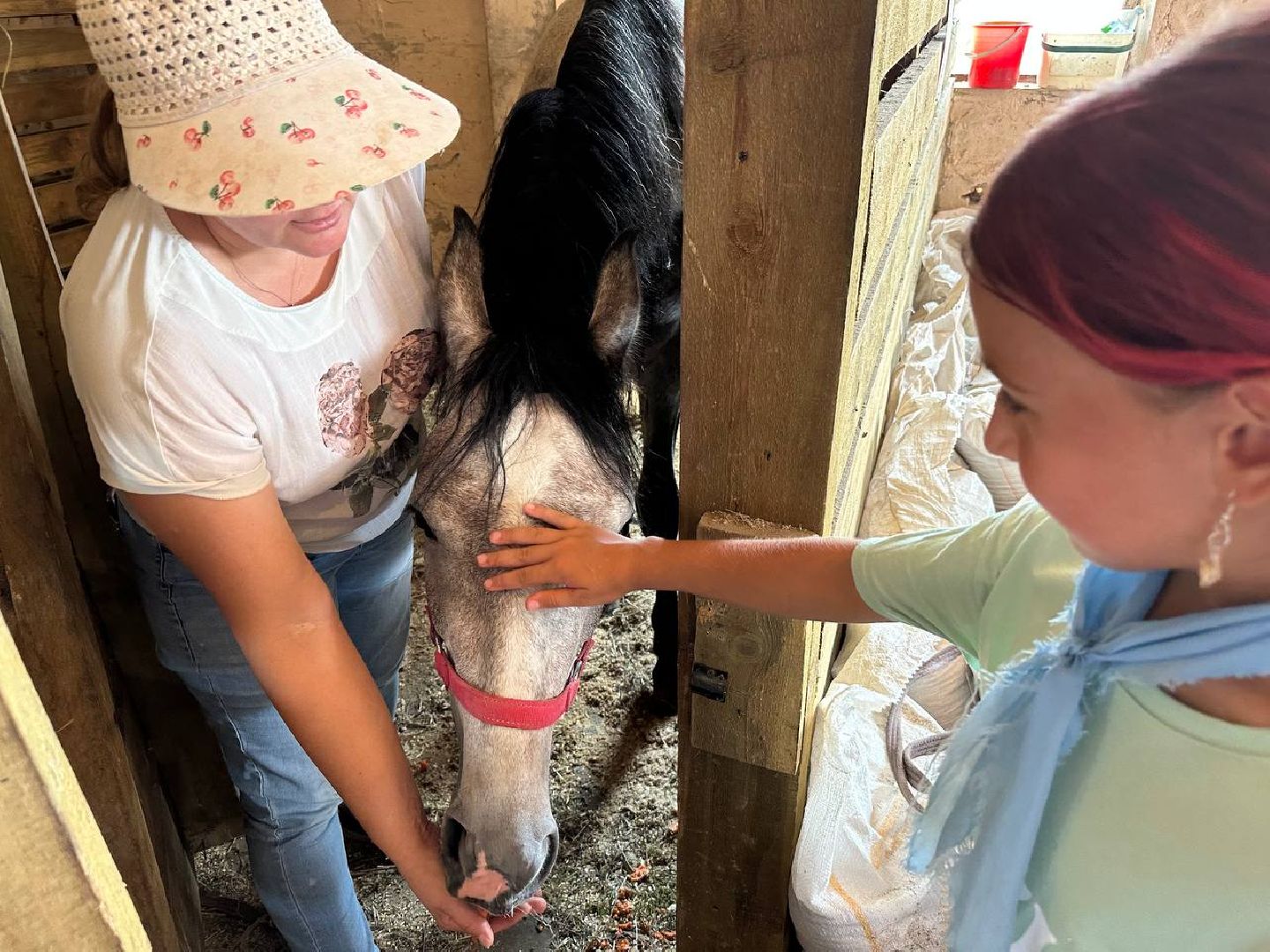 летний лагерь, домодедово, конюшня,