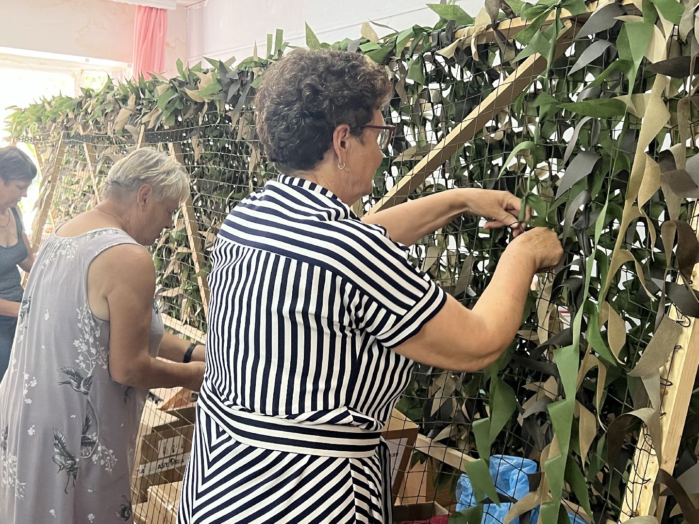 Волотеры, Сво, талдомский округ, Запрудня,