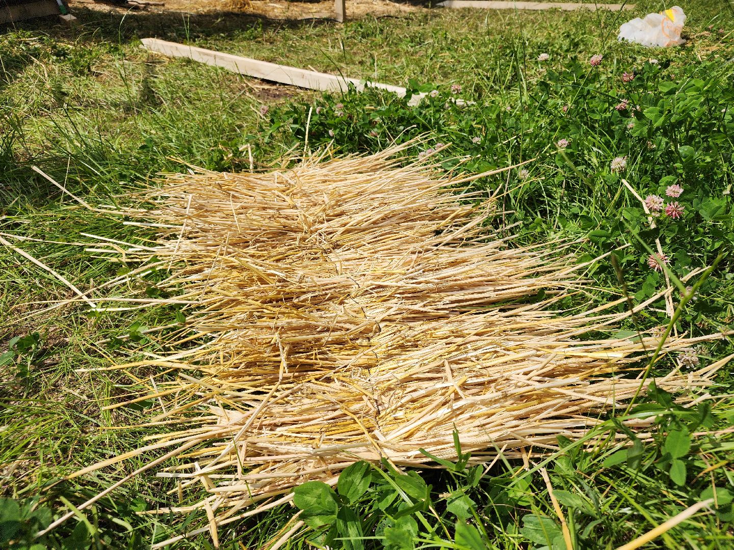 сергиев посад, сергиево-посадский городской округ, владимир алманов, скульптуры из сена, парковые скульптуры, улитки из сена,