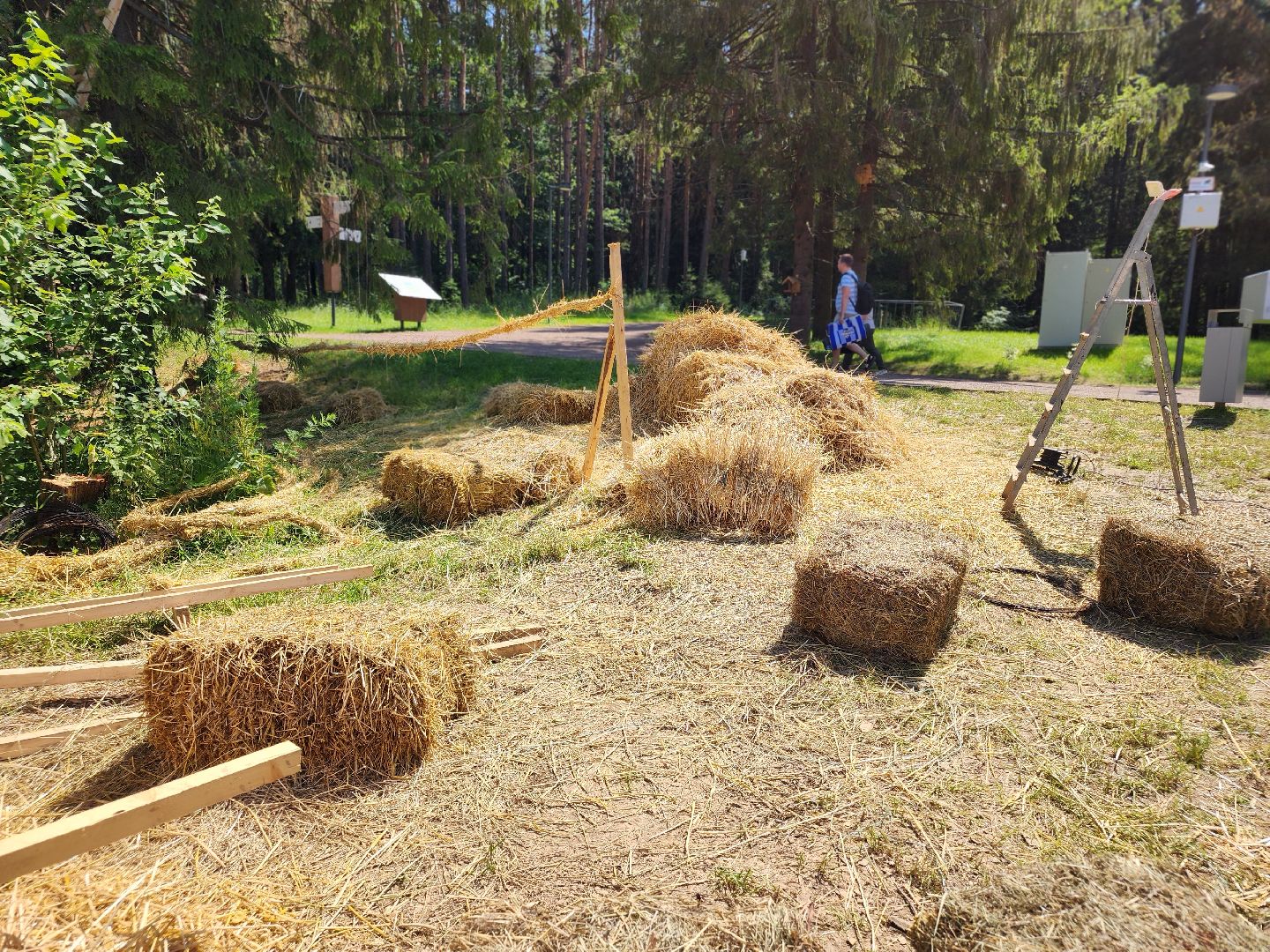сергиев посад, сергиево-посадский городской округ, владимир алманов, скульптуры из сена, парковые скульптуры, улитки из сена,