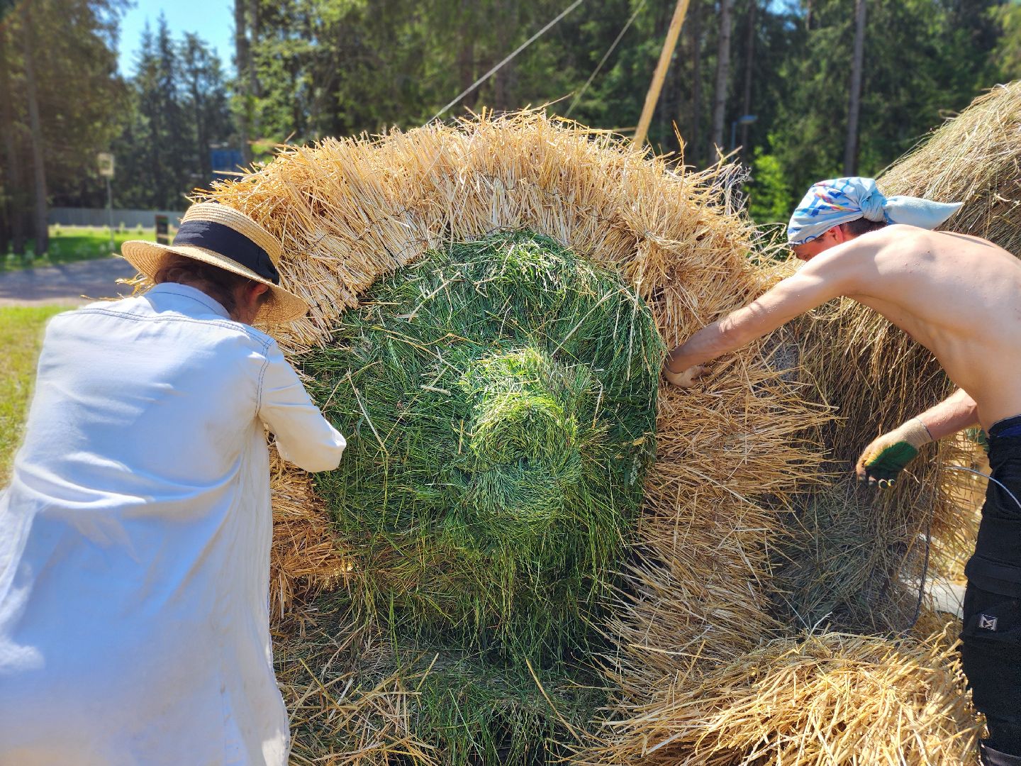 сергиев посад, сергиево-посадский городской округ, владимир алманов, скульптуры из сена, парковые скульптуры, улитки из сена,