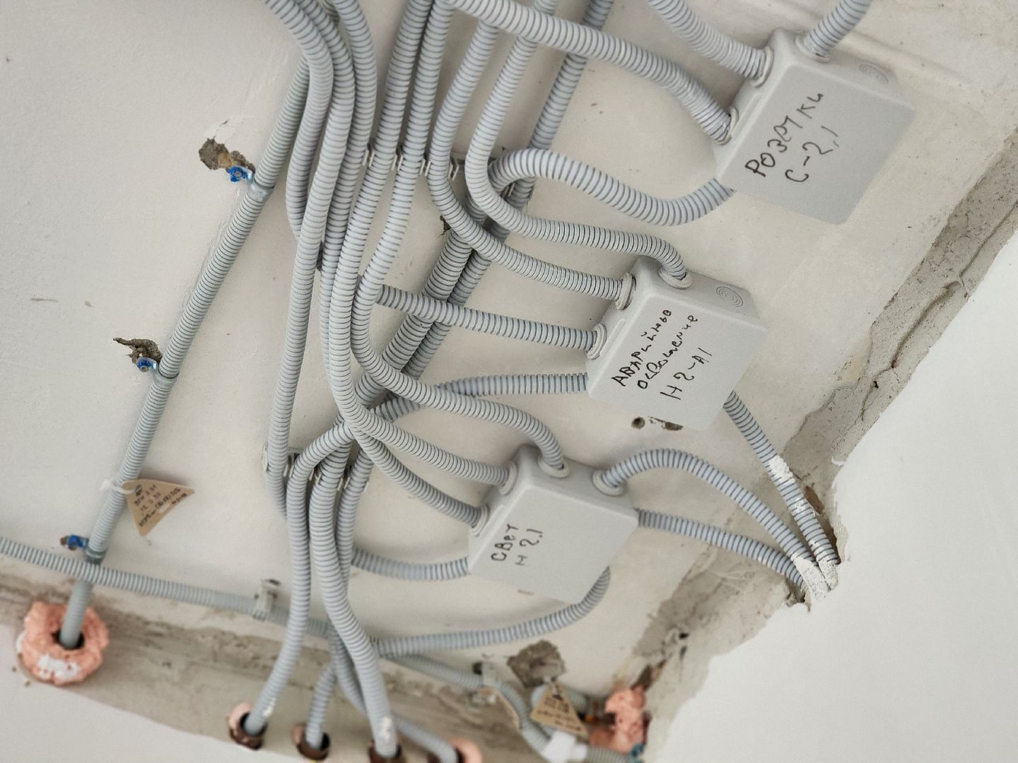 королёв, детский сад 5, капитальный ремонт детского сада, губернатор московской области,