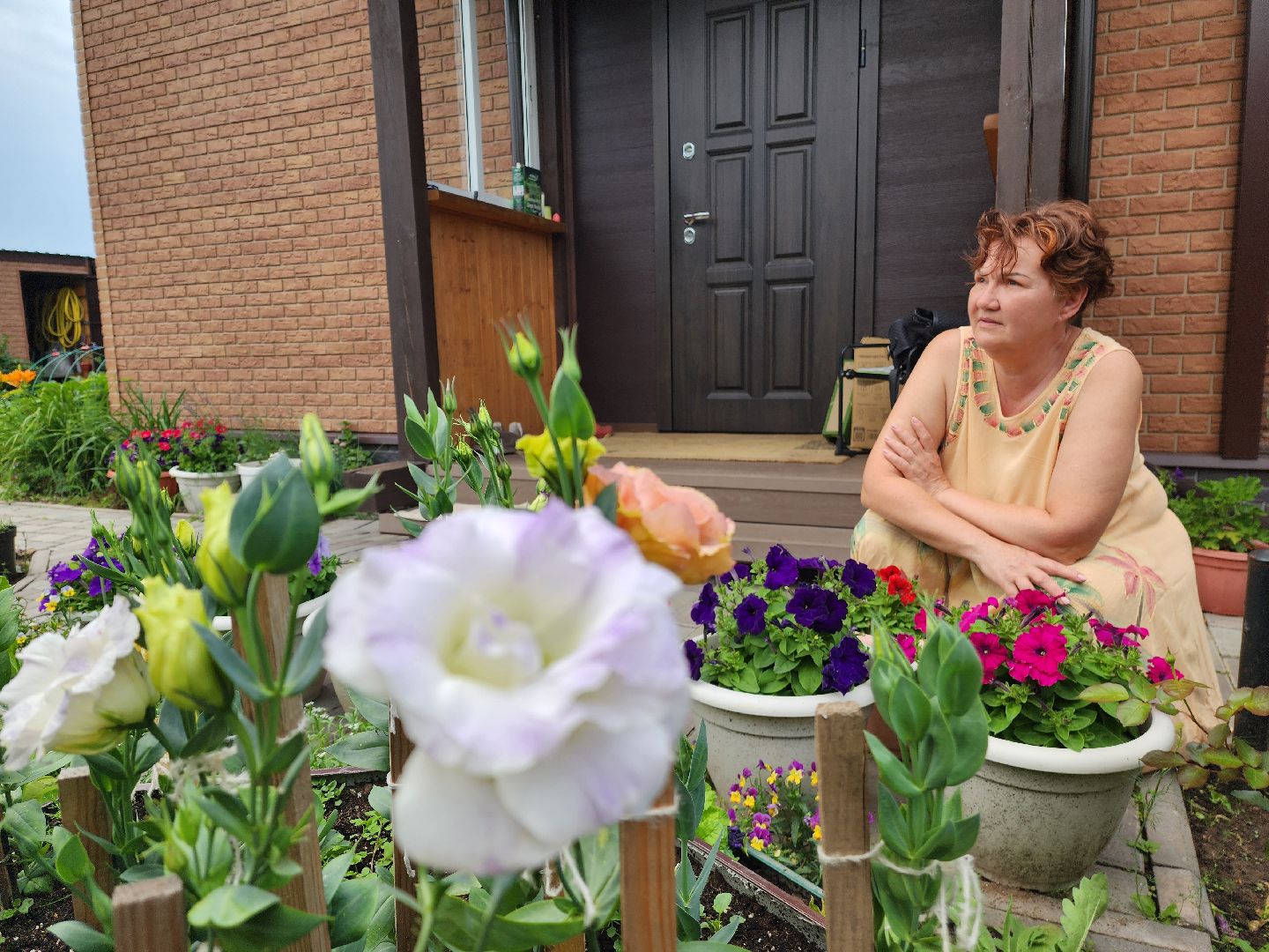 красноармейск, городской округ пушкинский, подмосковная дача, экзотические цветы,