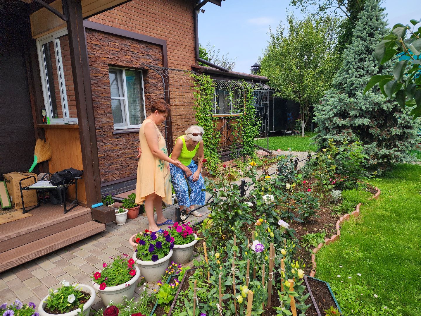 красноармейск, городской округ пушкинский, подмосковная дача, экзотические цветы,