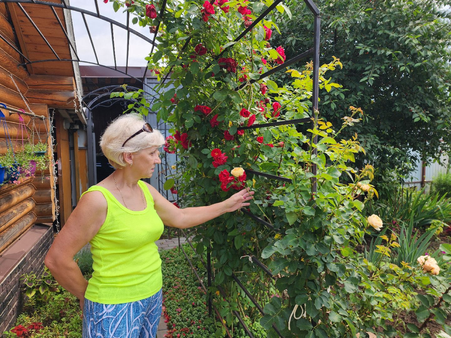 красноармейск, городской округ пушкинский, подмосковная дача, экзотические цветы,