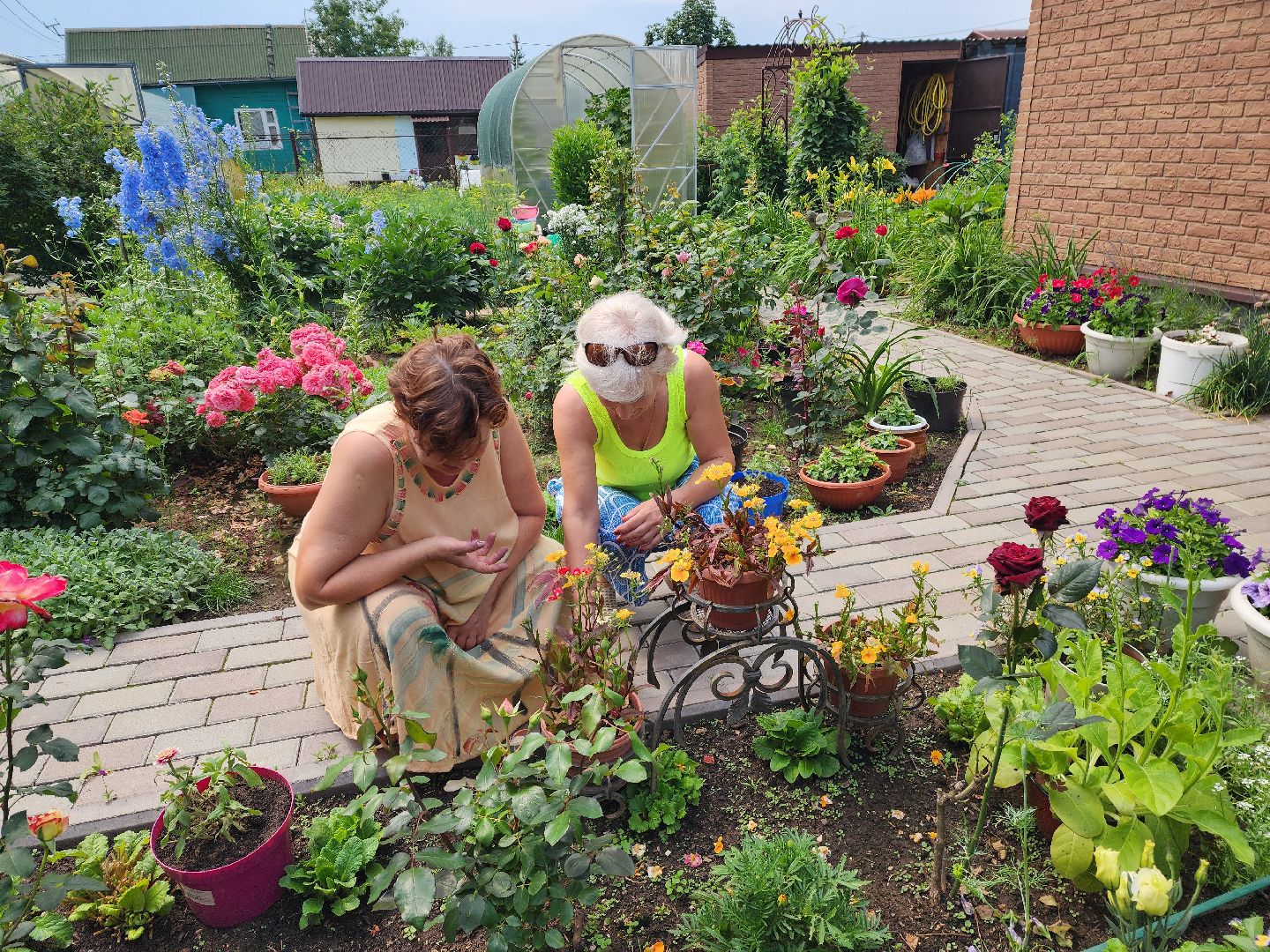 красноармейск, городской округ пушкинский, подмосковная дача, экзотические цветы,