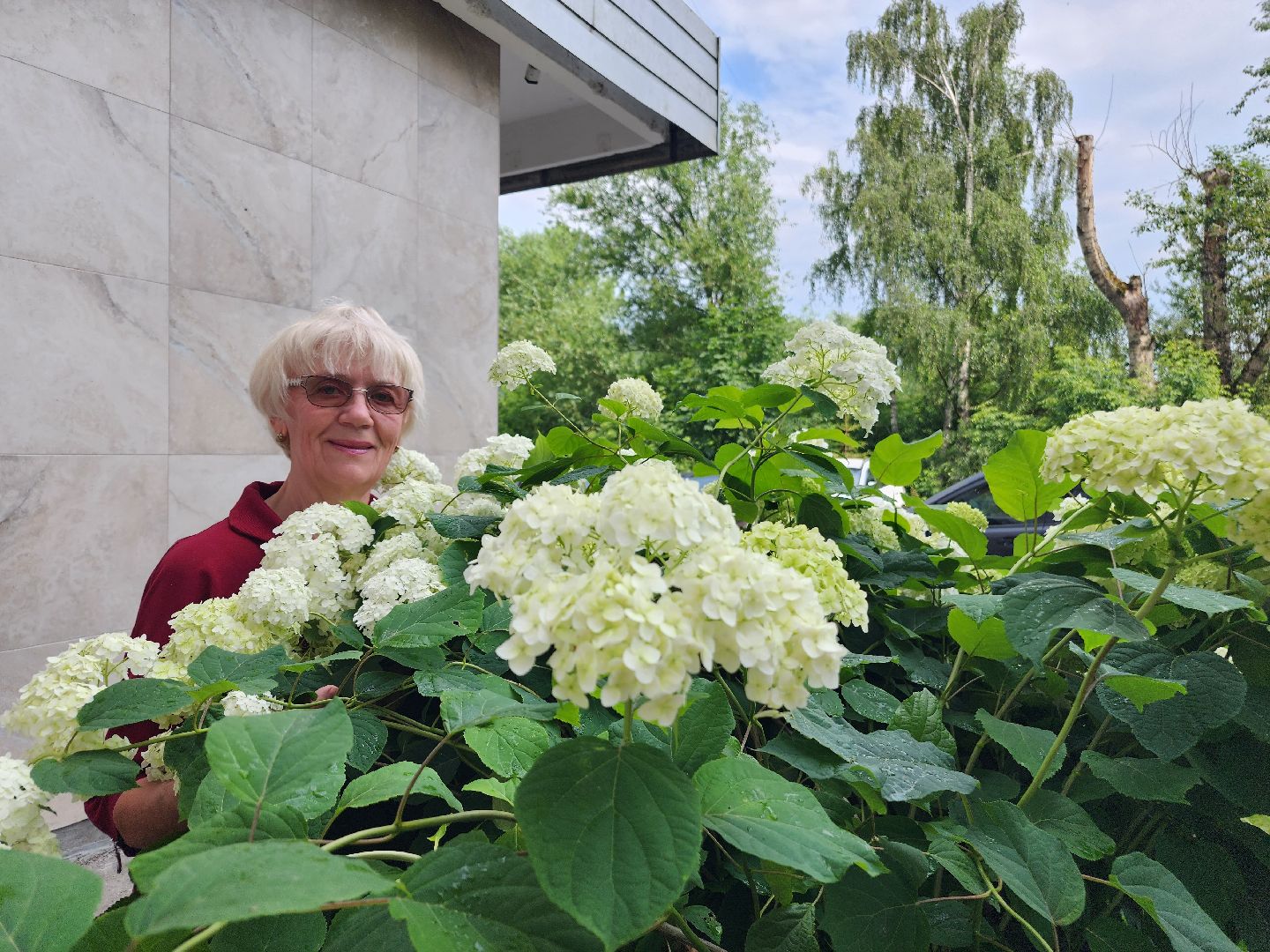 фрязино, цветники, двор-оранжерея, пенсионер, красивый подъезд,
