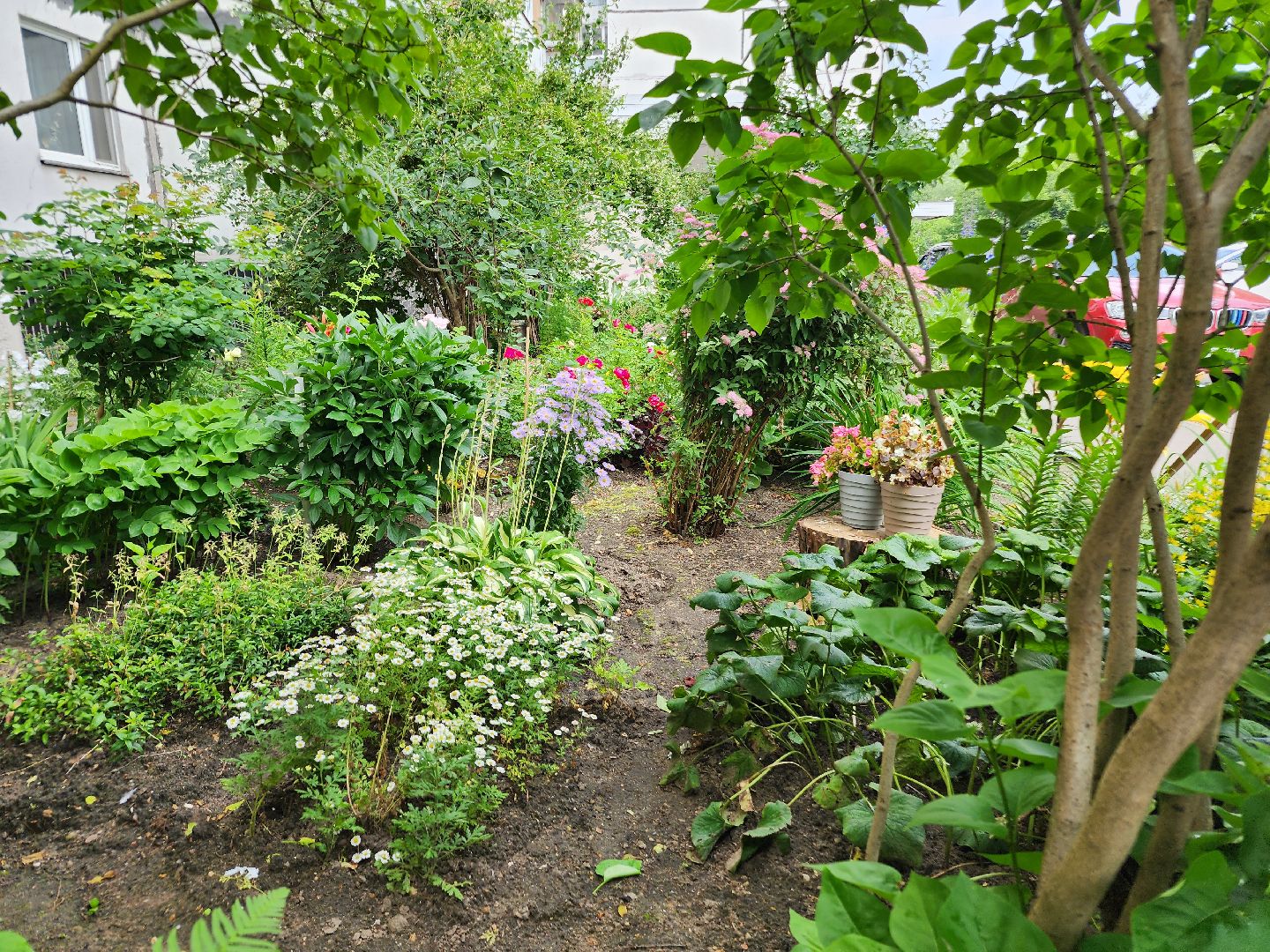 фрязино, цветники, двор-оранжерея, пенсионер, красивый подъезд,