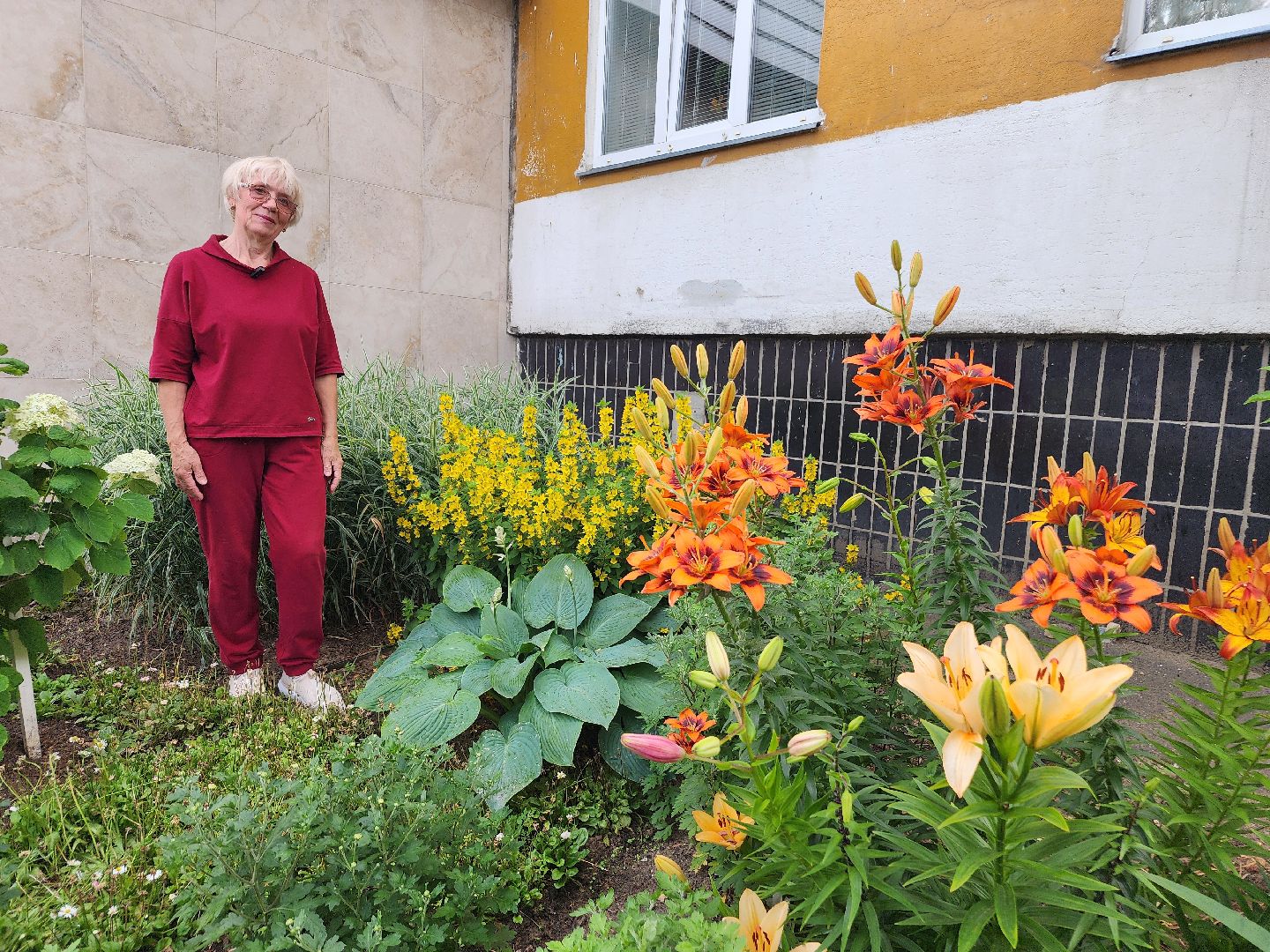 фрязино, цветники, двор-оранжерея, пенсионер, красивый подъезд,