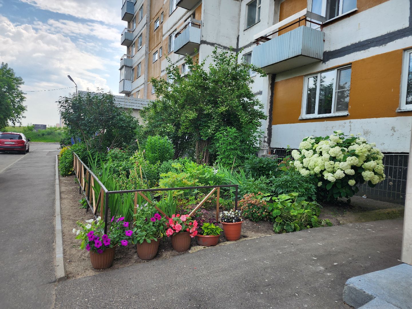 фрязино, цветники, двор-оранжерея, пенсионер, красивый подъезд,