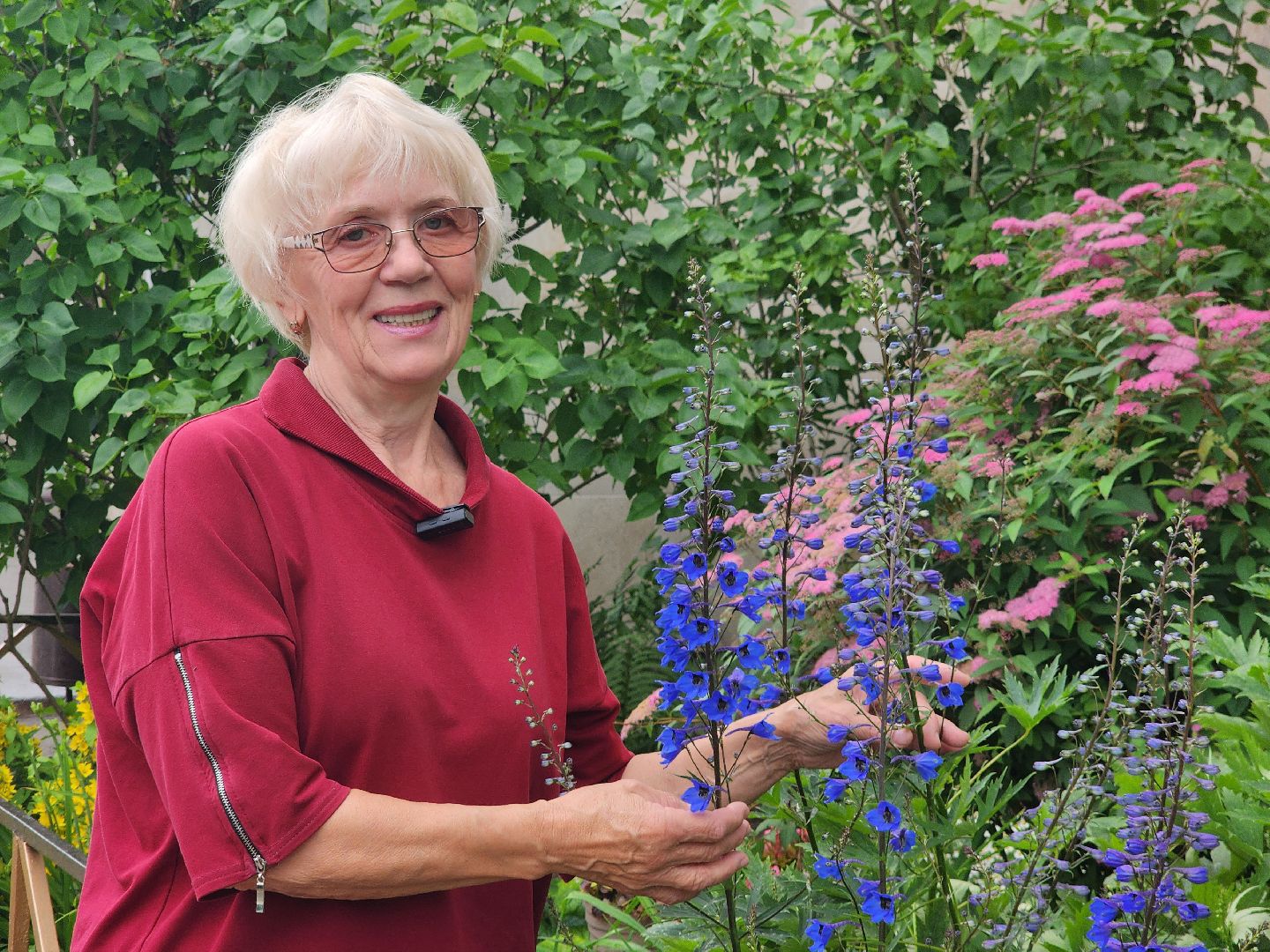 фрязино, цветники, двор-оранжерея, пенсионер, красивый подъезд,