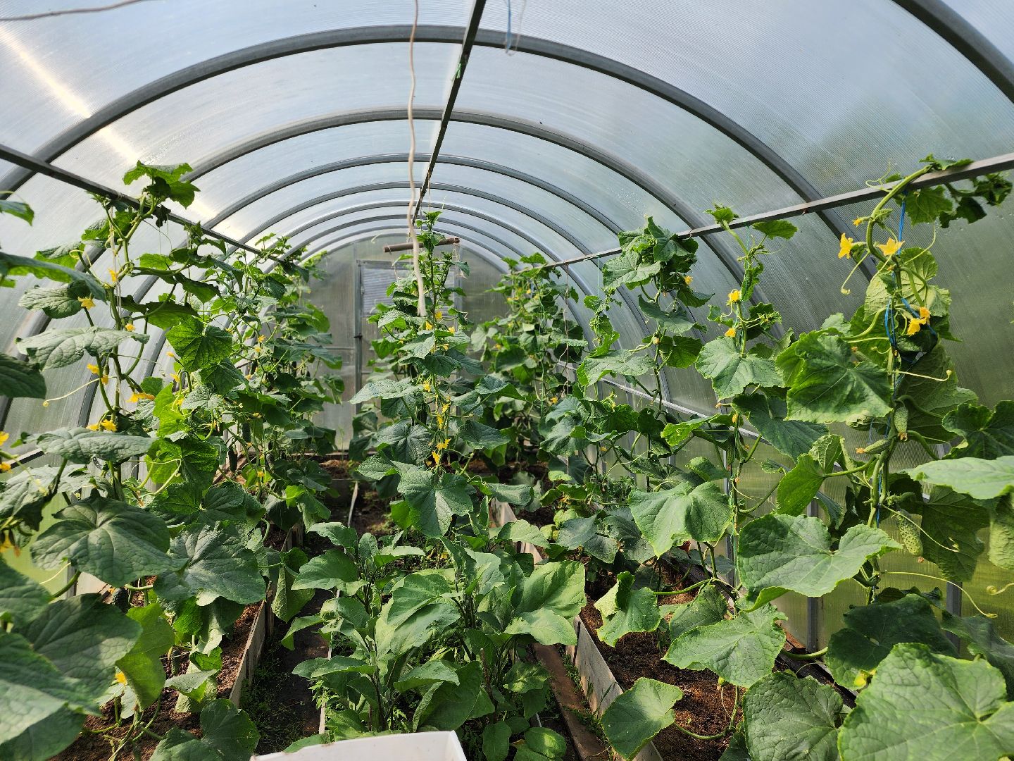 сергиев посад, сергиево-посадский городской округ, многодетные семьи, материнская слава,