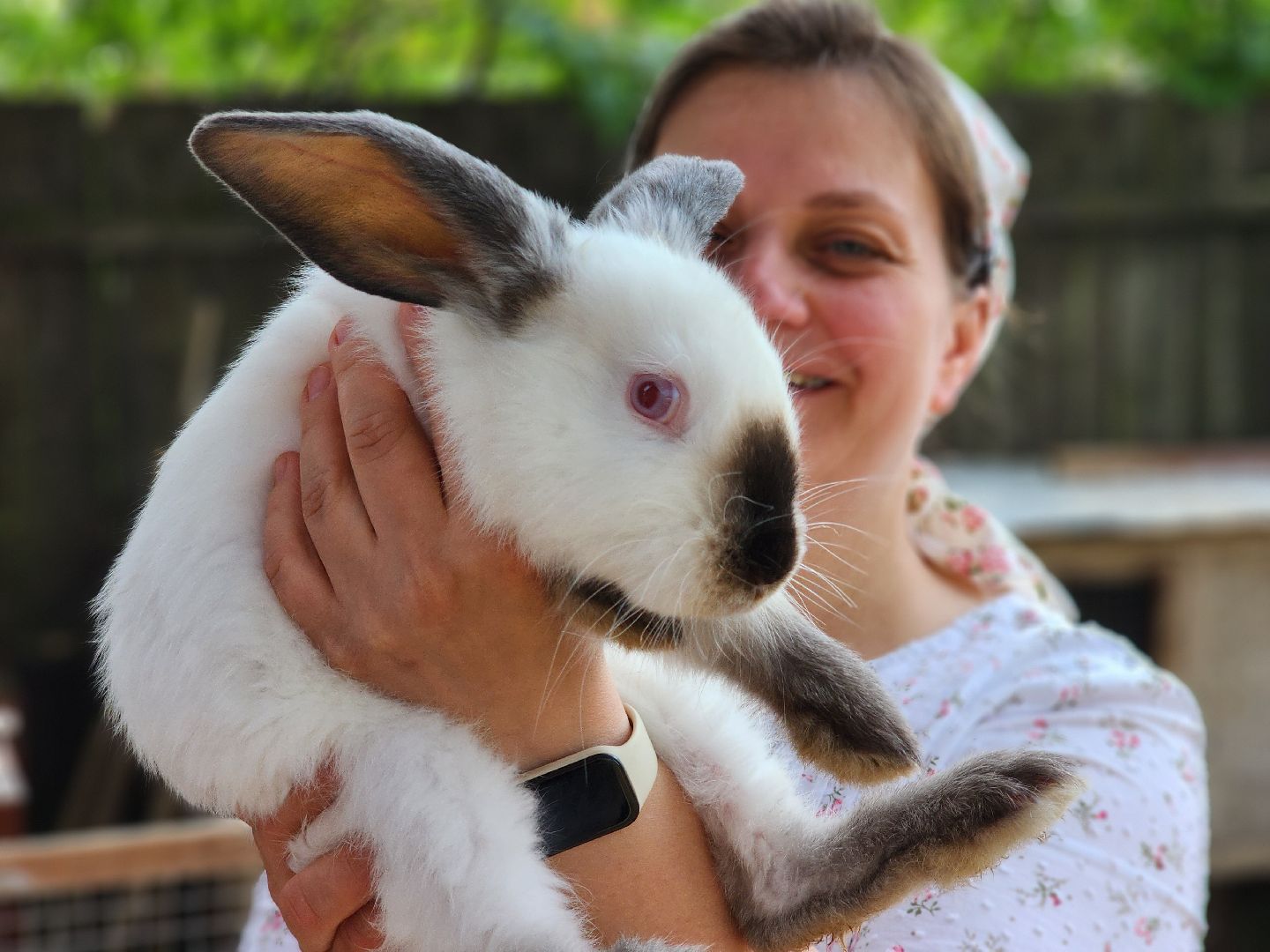 сергиев посад, сергиево-посадский городской округ, многодетные семьи, материнская слава,