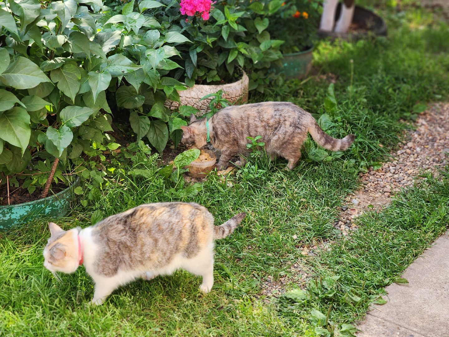 сергиев посад, сергиево-посадский городской округ, многодетные семьи, материнская слава,