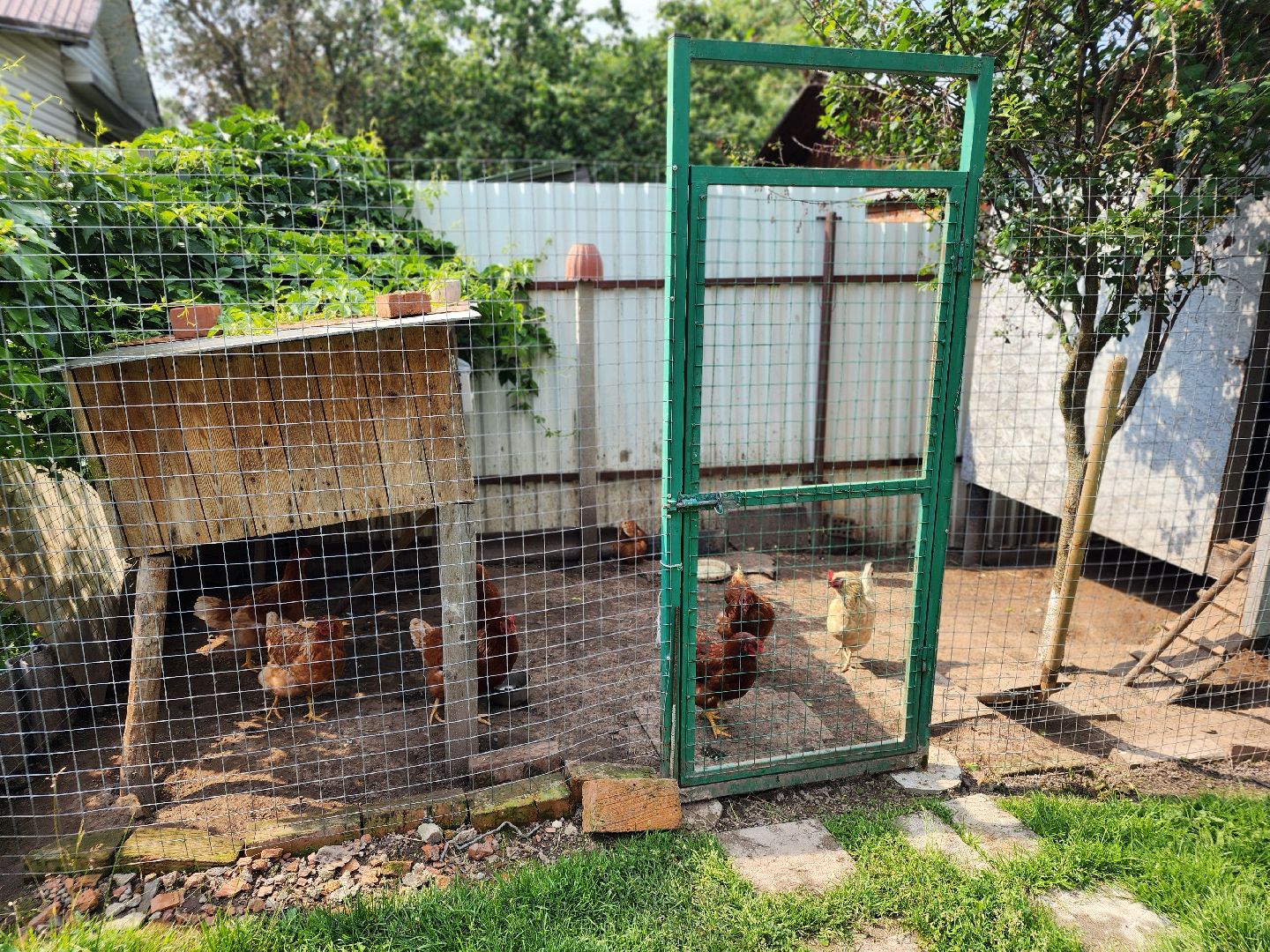 сергиев посад, сергиево-посадский городской округ, многодетные семьи, материнская слава,