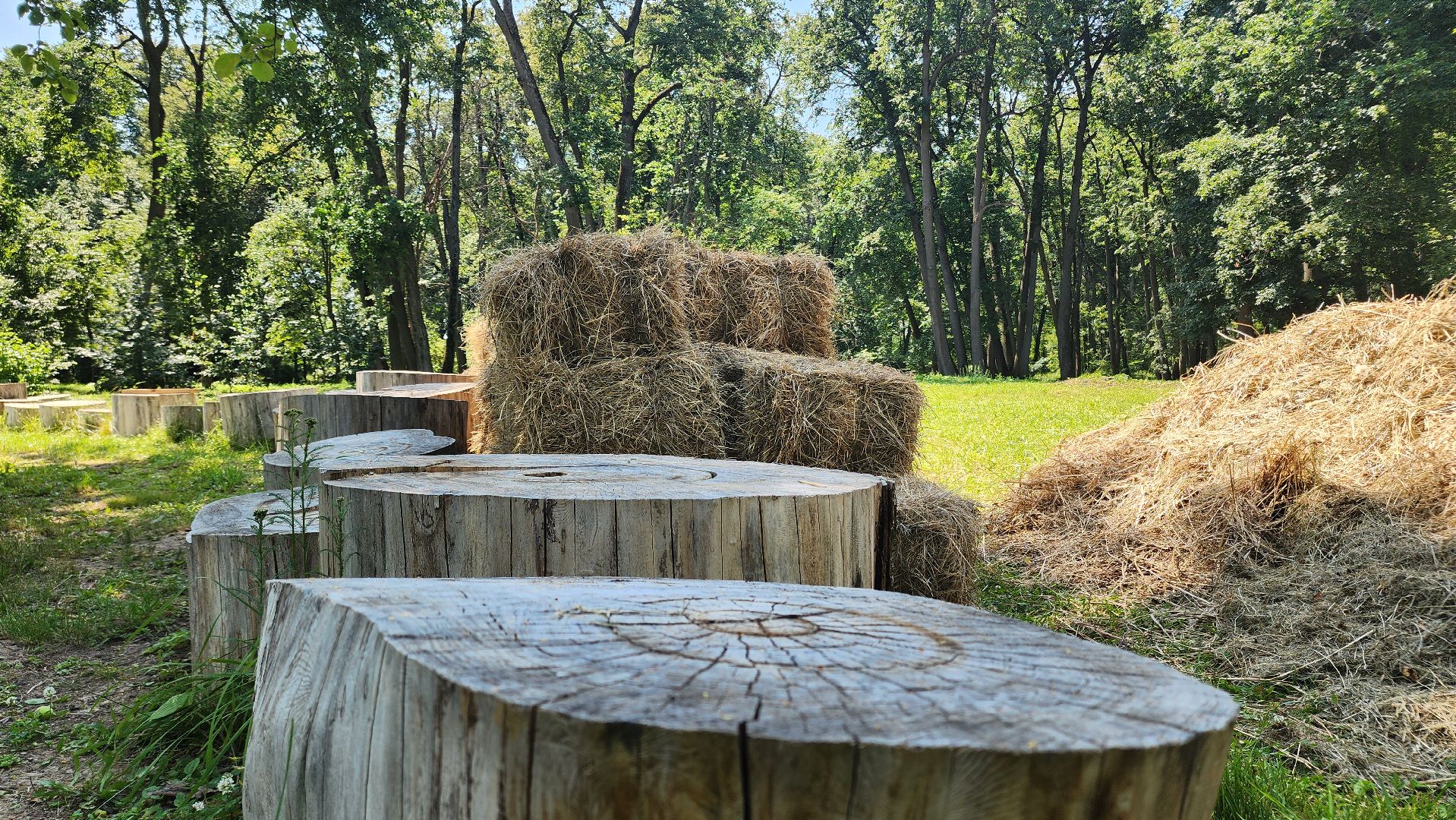 Зарайск, Даровое, Усадьба Достоевских, Туризм,