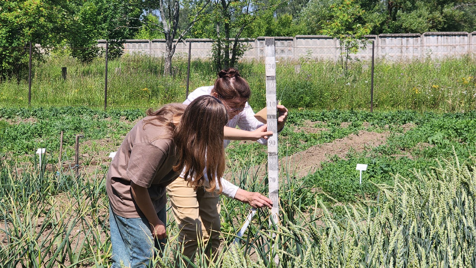 ступино, сельское хозяйство, наука, селекция, образование,