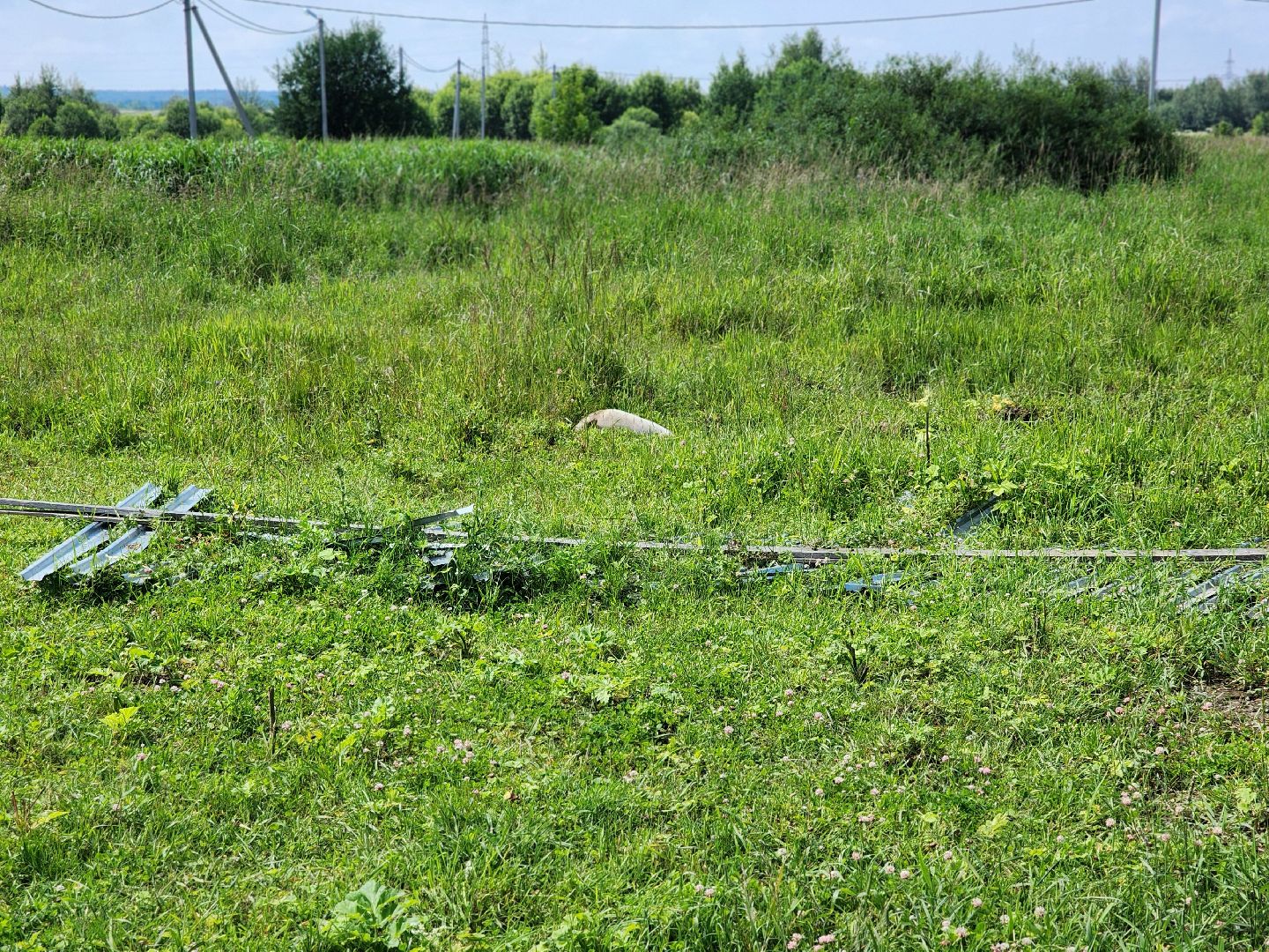 сергиев посад, сергиево-посадский городской округ, филисово, мамино лукошко, родовое имение, многодетная семья, подворье,