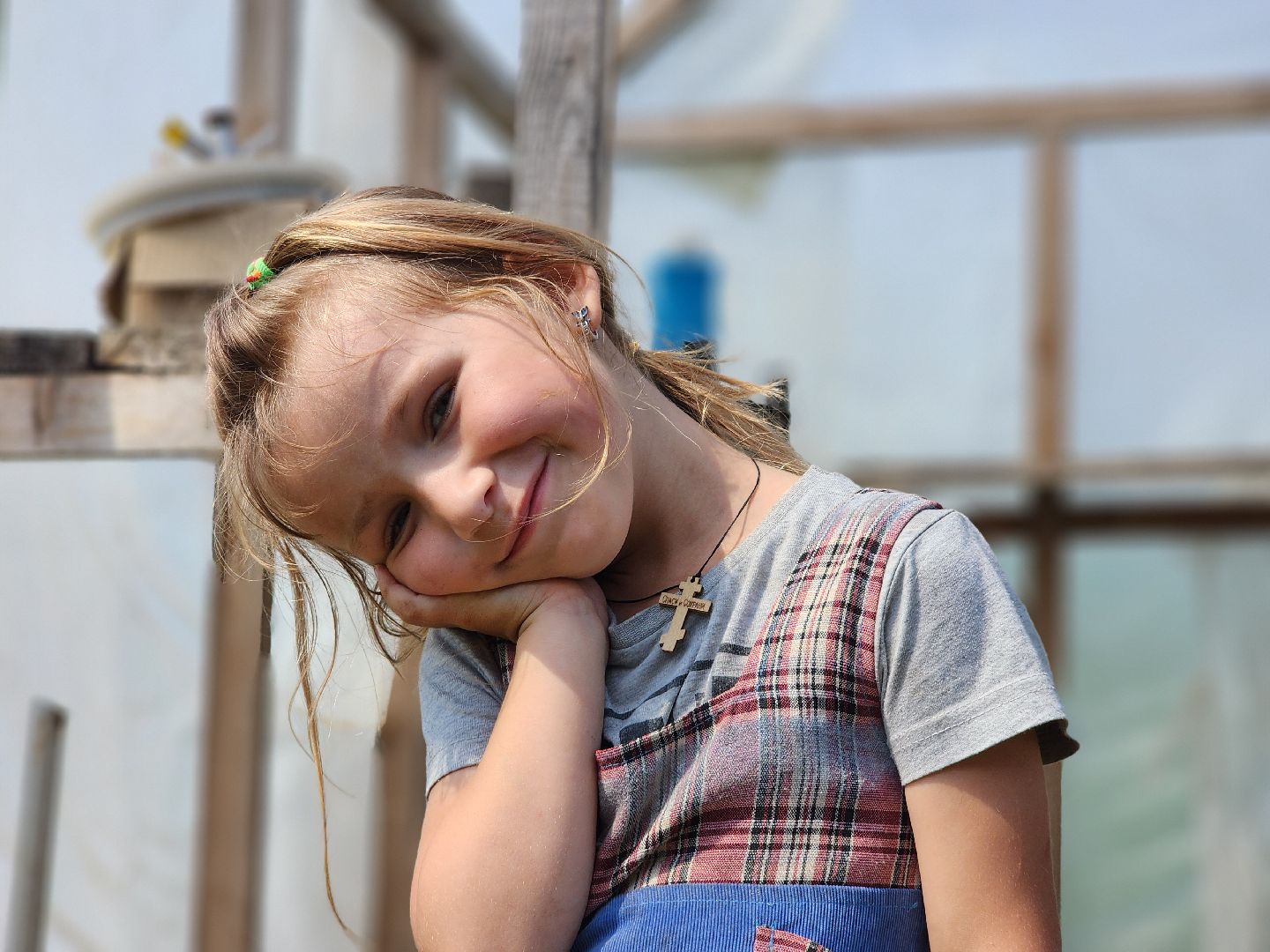 сергиев посад, сергиево-посадский городской округ, филисово, мамино лукошко, родовое имение, многодетная семья, подворье,