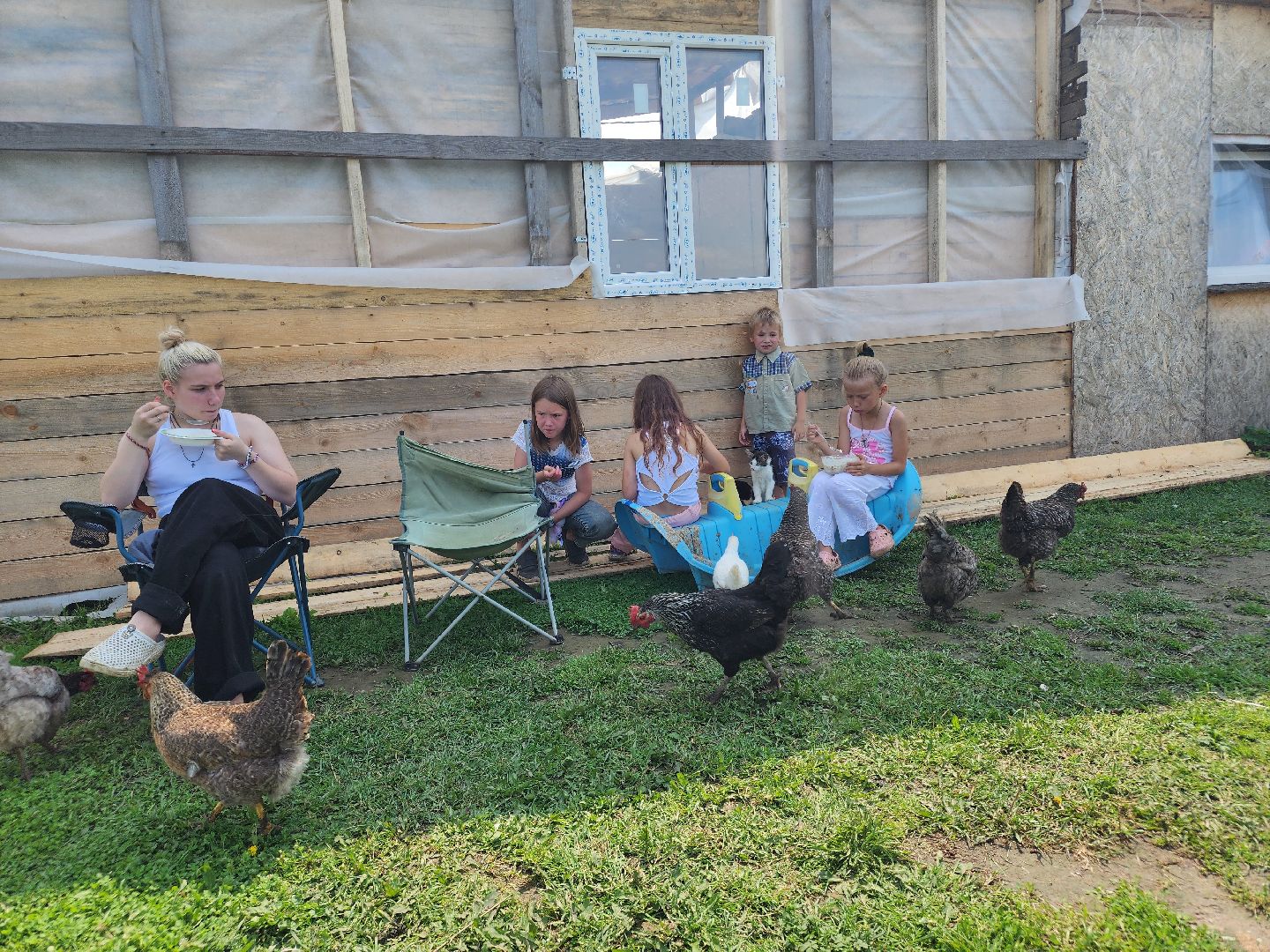 сергиев посад, сергиево-посадский городской округ, филисово, мамино лукошко, родовое имение, многодетная семья, подворье,