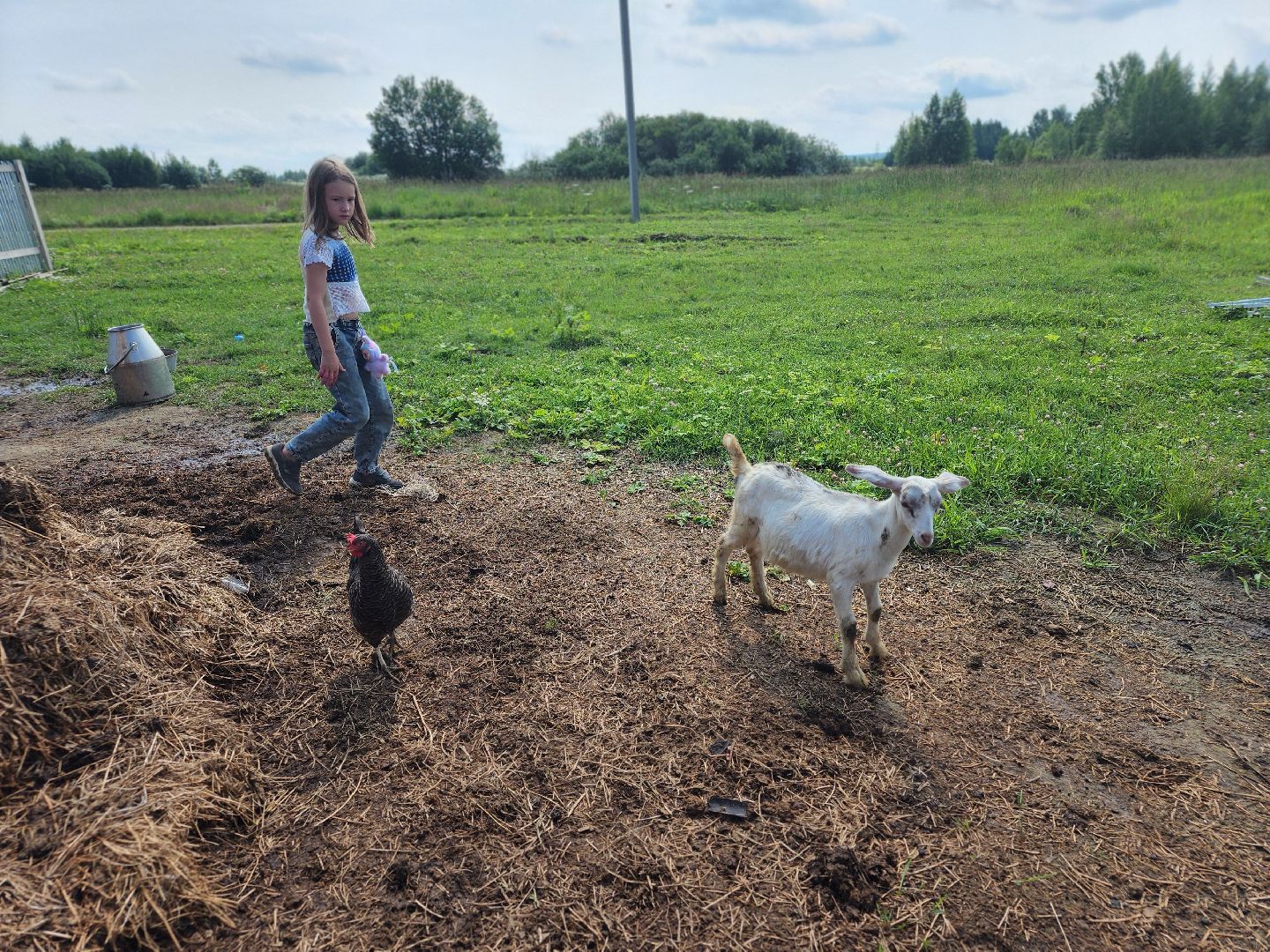 сергиев посад, сергиево-посадский городской округ, филисово, мамино лукошко, родовое имение, многодетная семья, подворье,