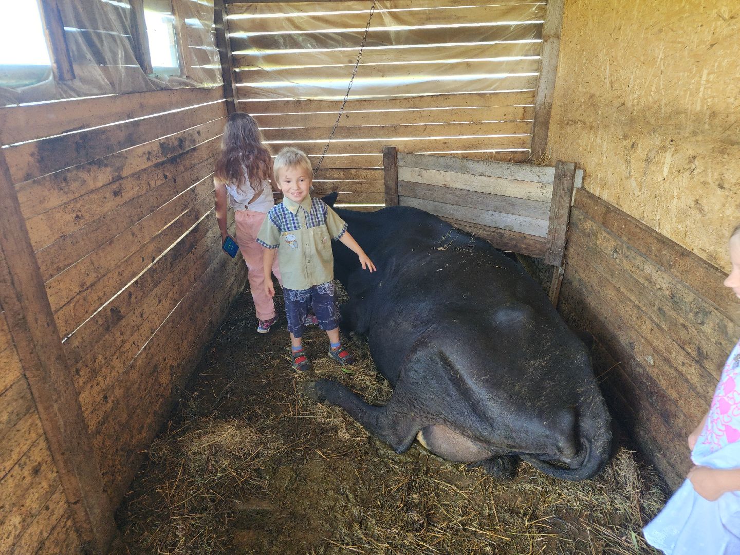 сергиев посад, сергиево-посадский городской округ, филисово, мамино лукошко, родовое имение, многодетная семья, подворье,