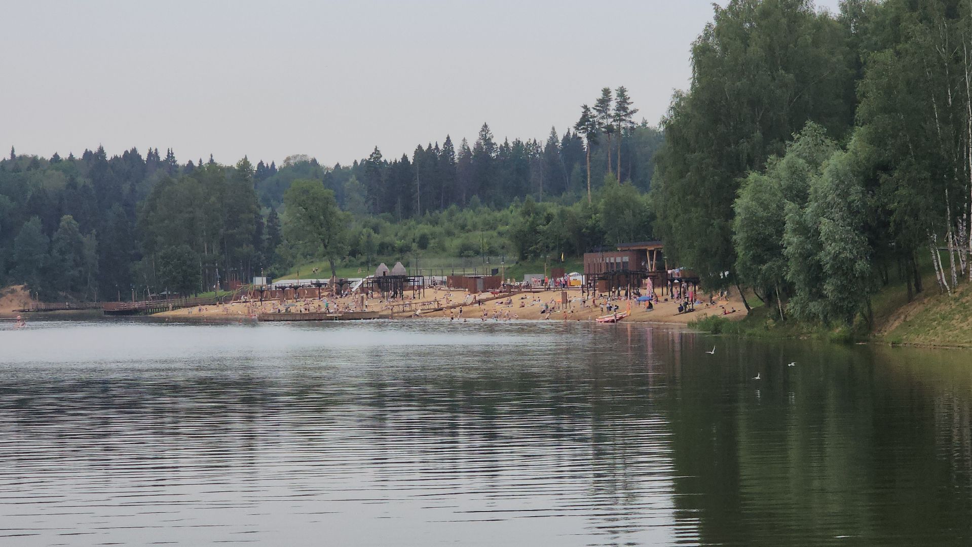 пляж, лето в подмосковье, красногорск, синичка,