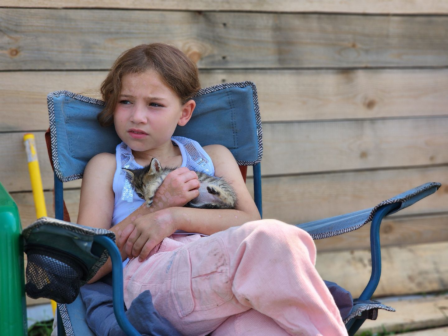 сергиев посад, сергиево-посадский городской округ, филисово, борщевик сосновского,